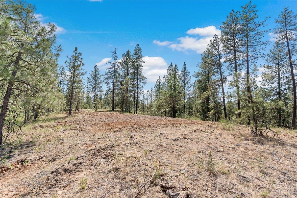 5339 W Anderson Rd - Photo 7