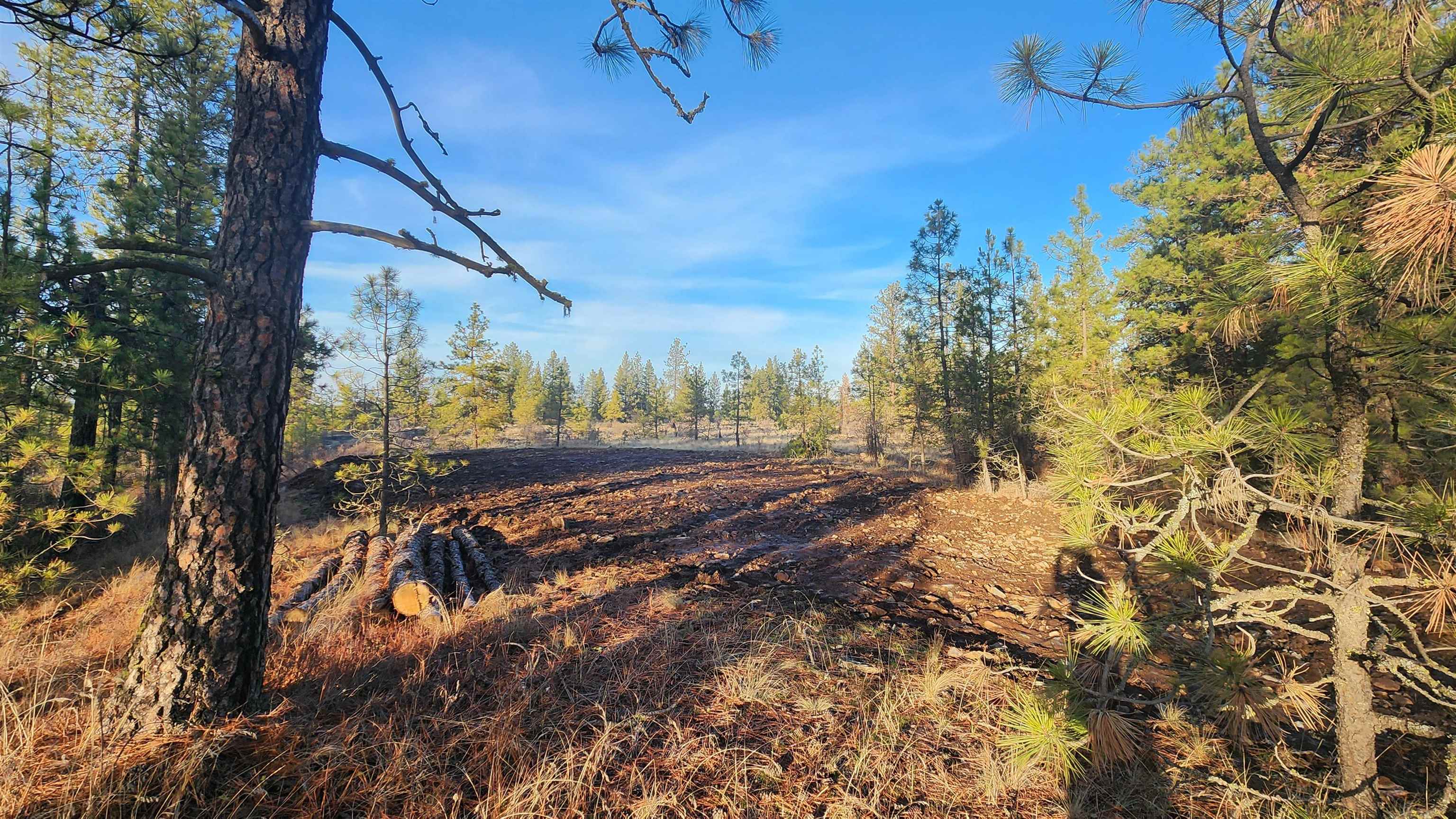 5339 W Anderson Rd - Photo 8