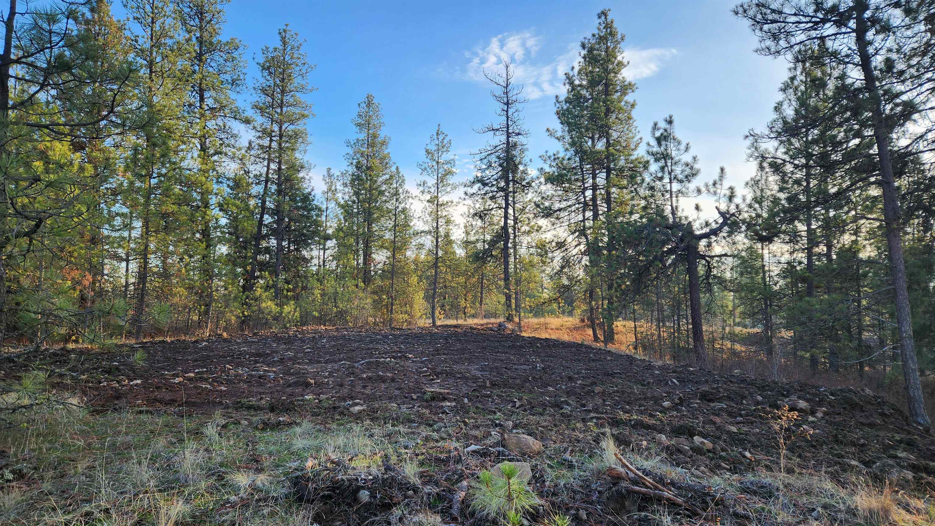 5339 W Anderson Rd - Photo 9