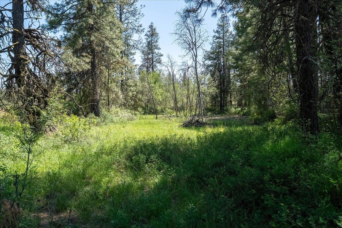 5339 W Anderson Rd - Photo 10