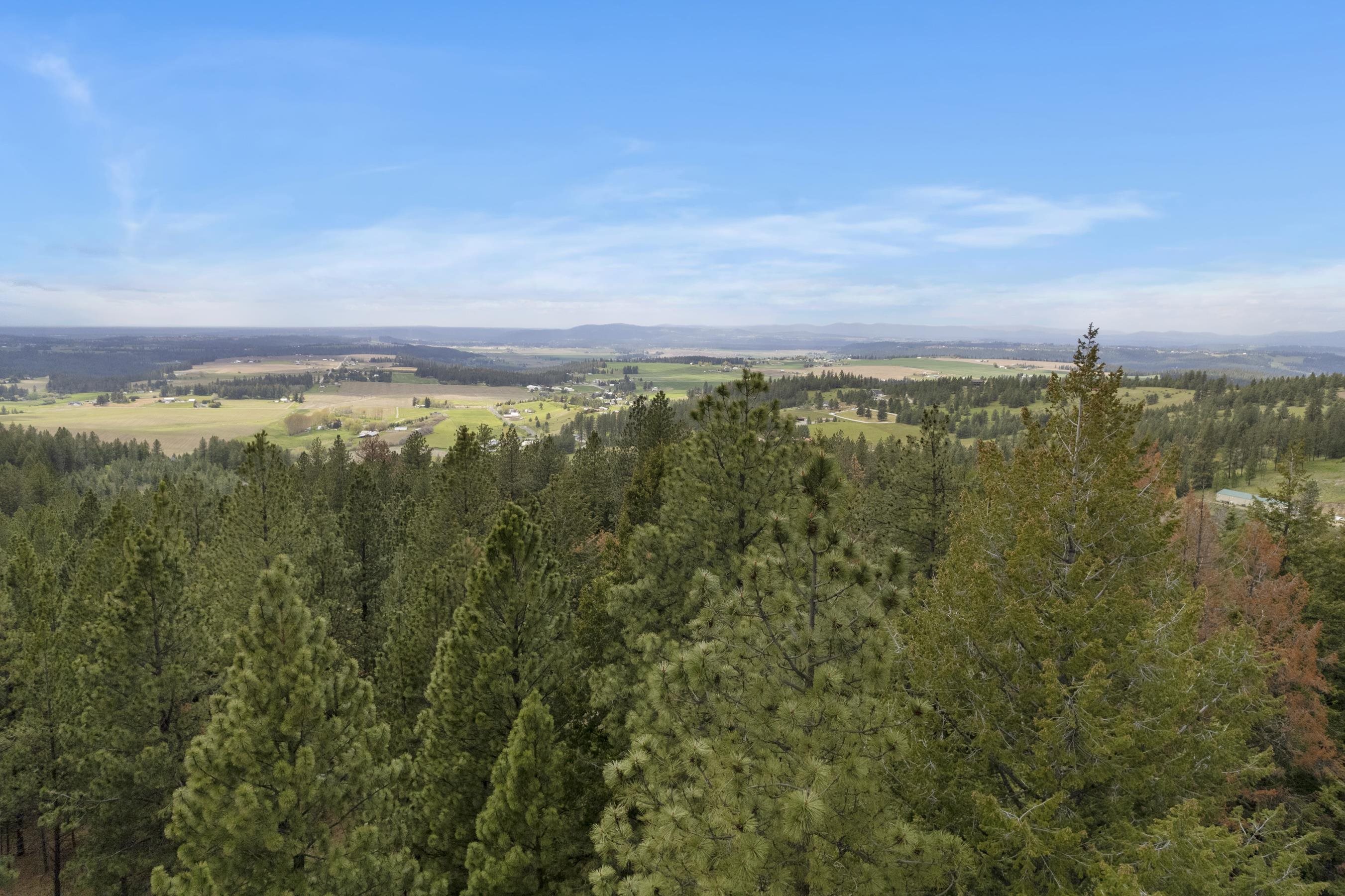 17534 E Off My Ln - Photo 12