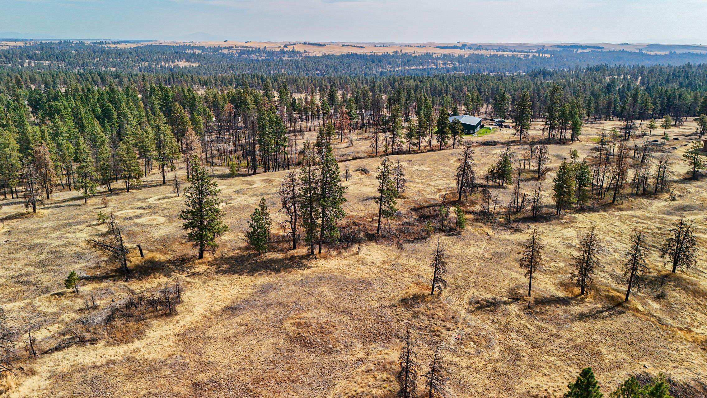 35210 S Long Rd - Photo 42