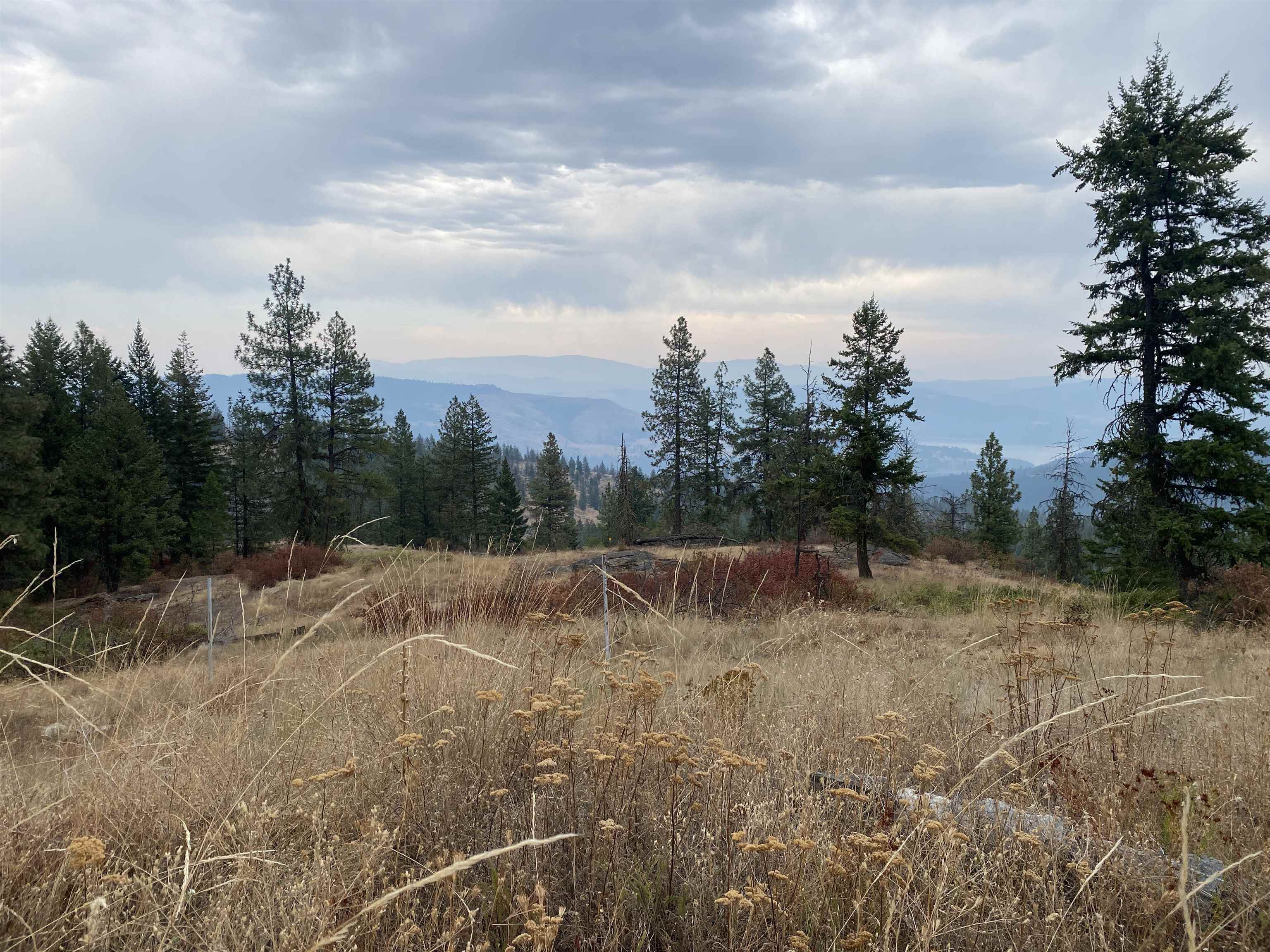 34 Peace Ridge Way - Photo 11