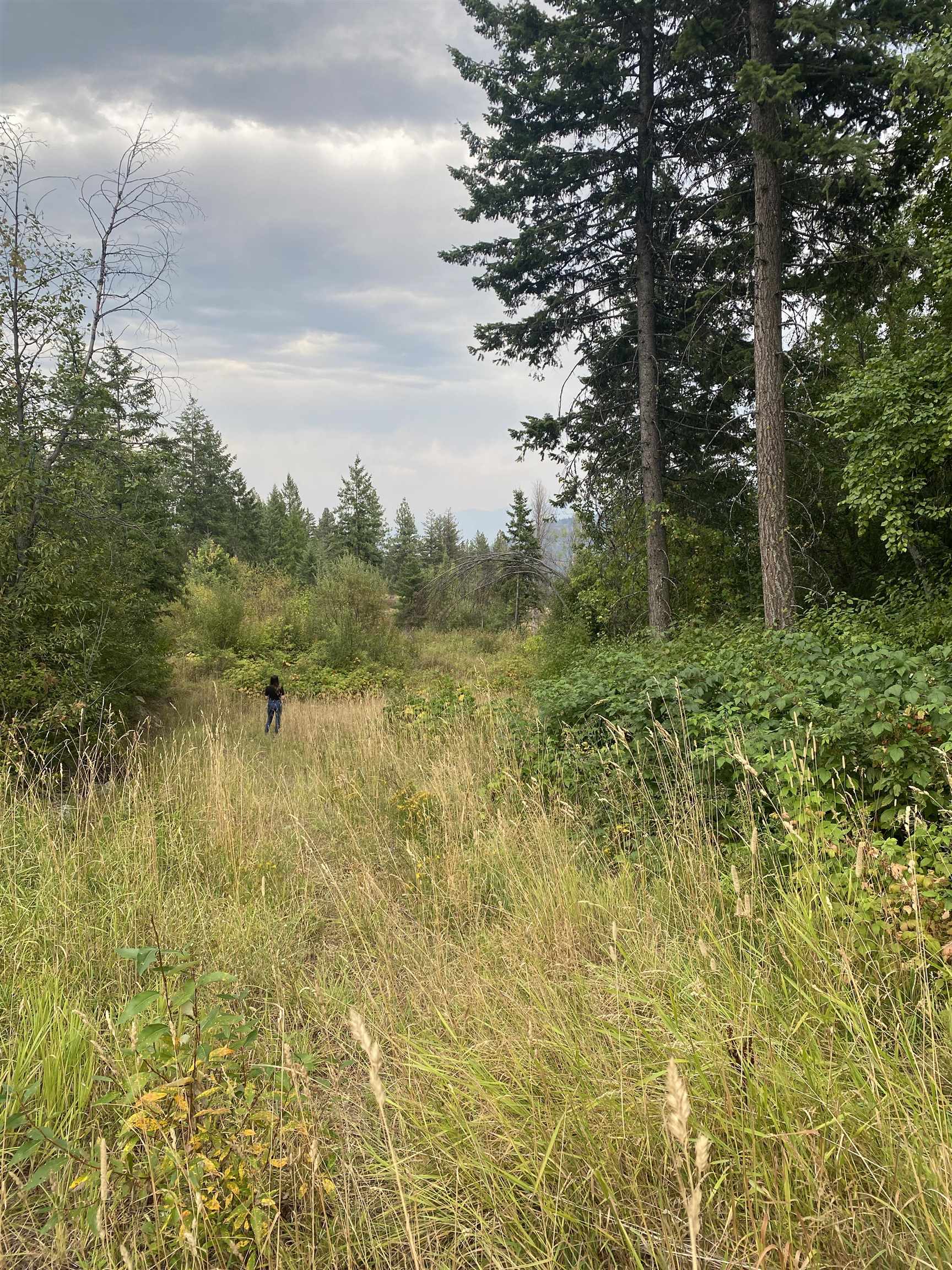 34 Peace Ridge Way - Photo 16