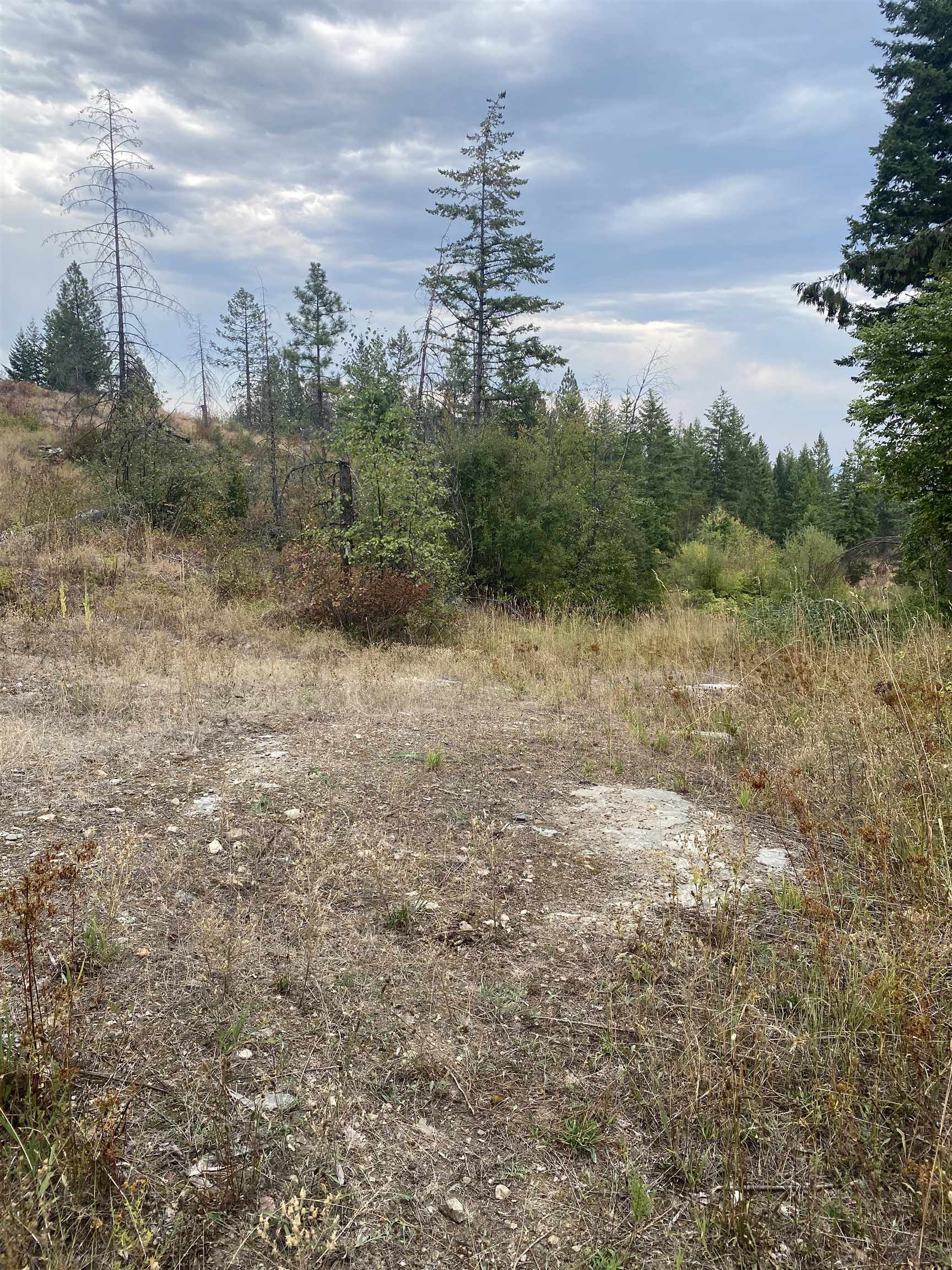 34 Peace Ridge Way - Photo 17