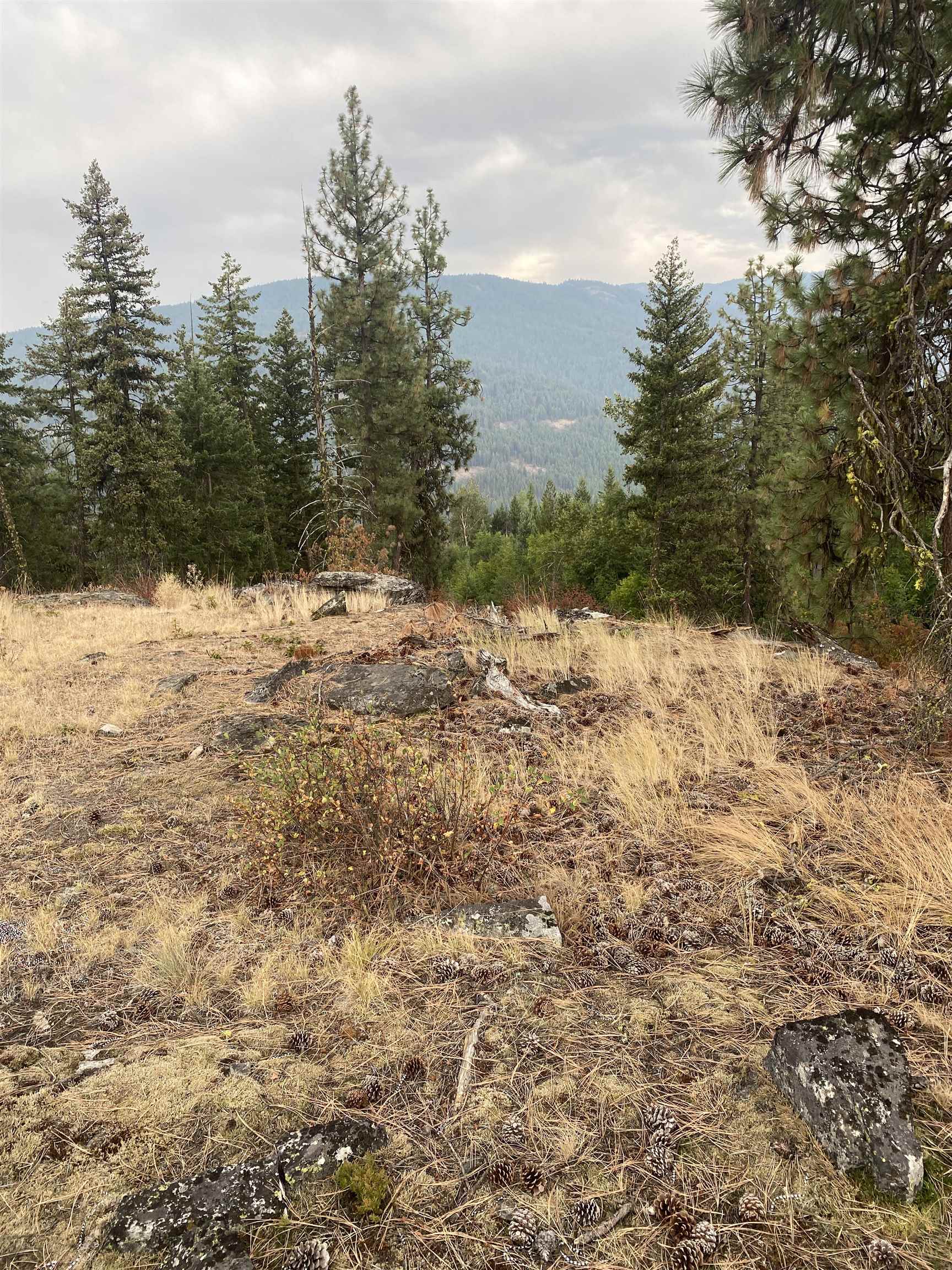 34 Peace Ridge Way - Photo 19