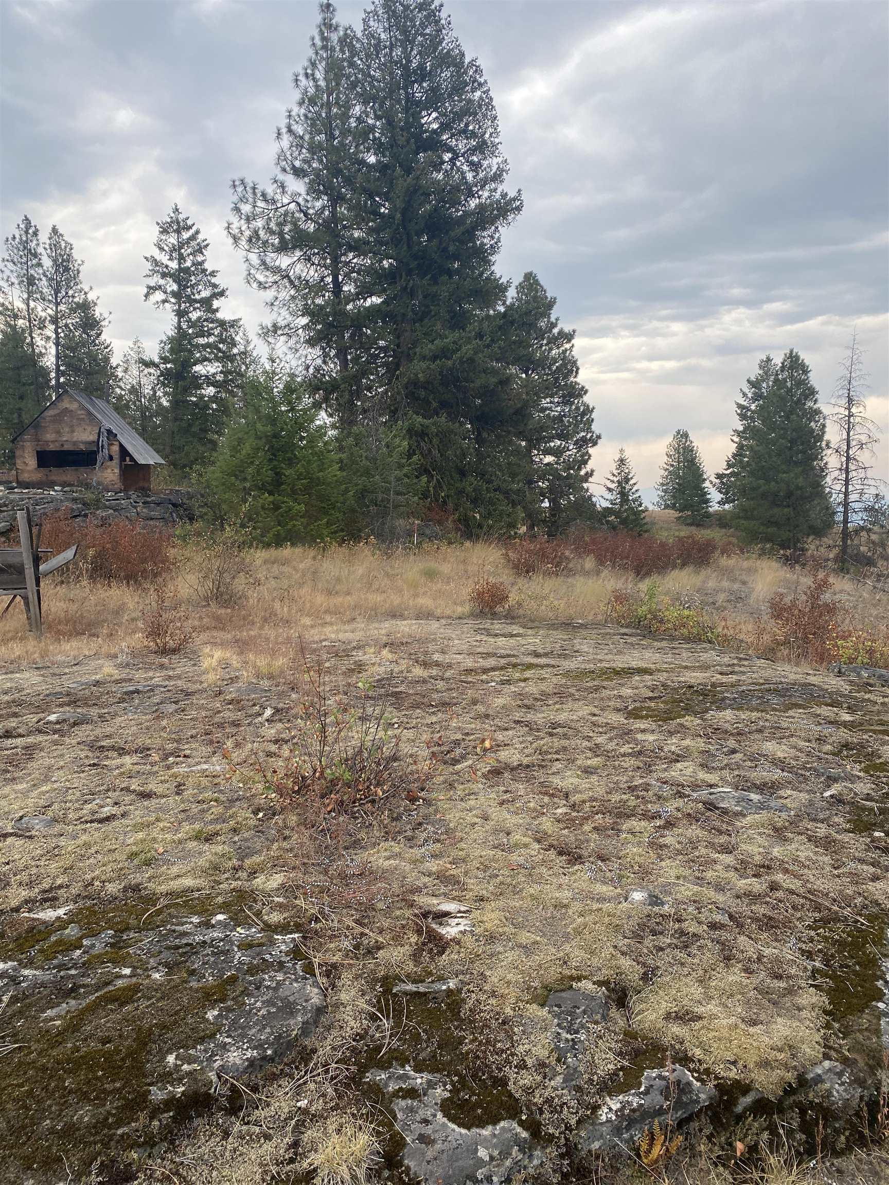 34 Peace Ridge Way - Photo 20