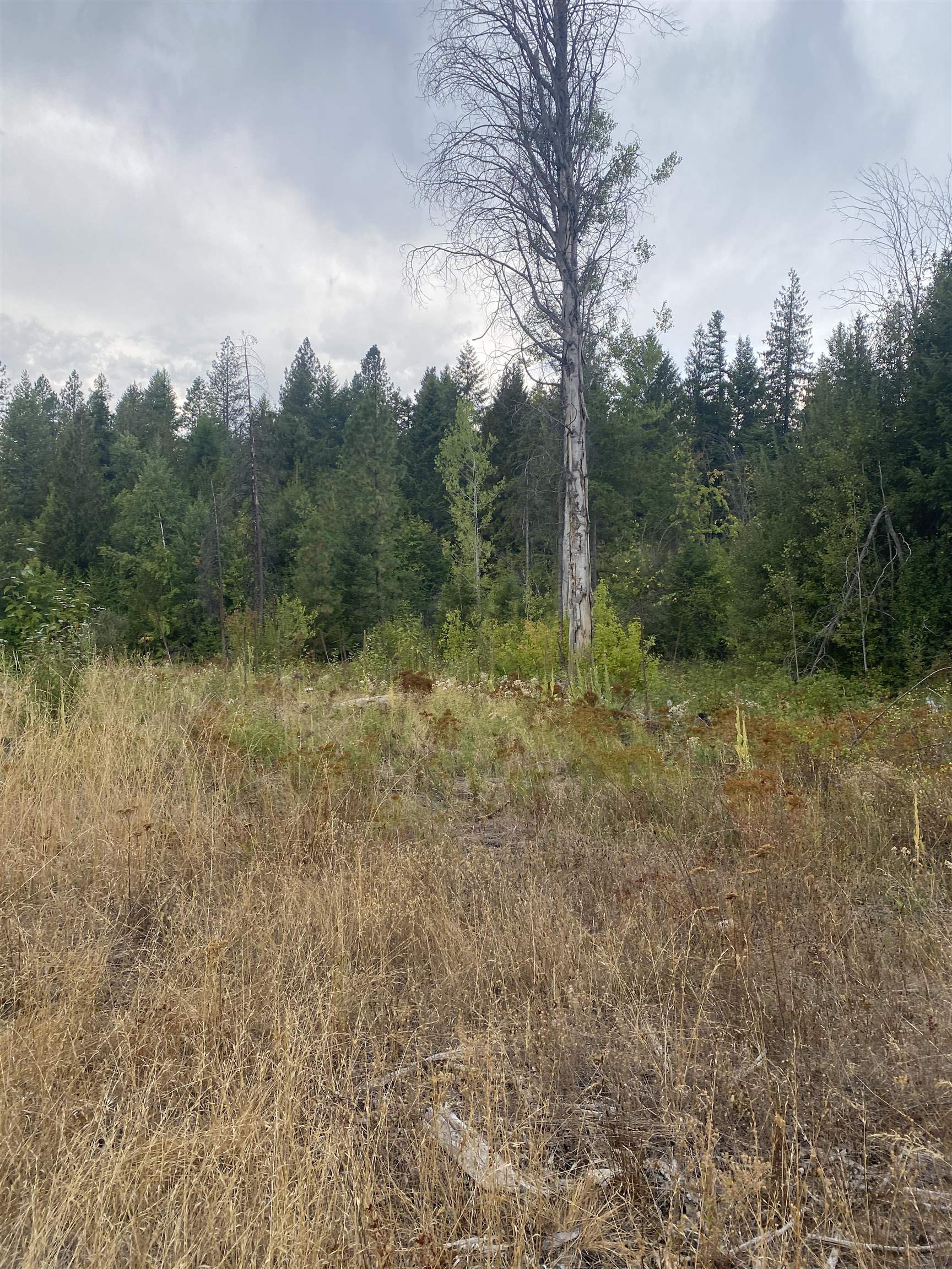 34 Peace Ridge Way - Photo 21