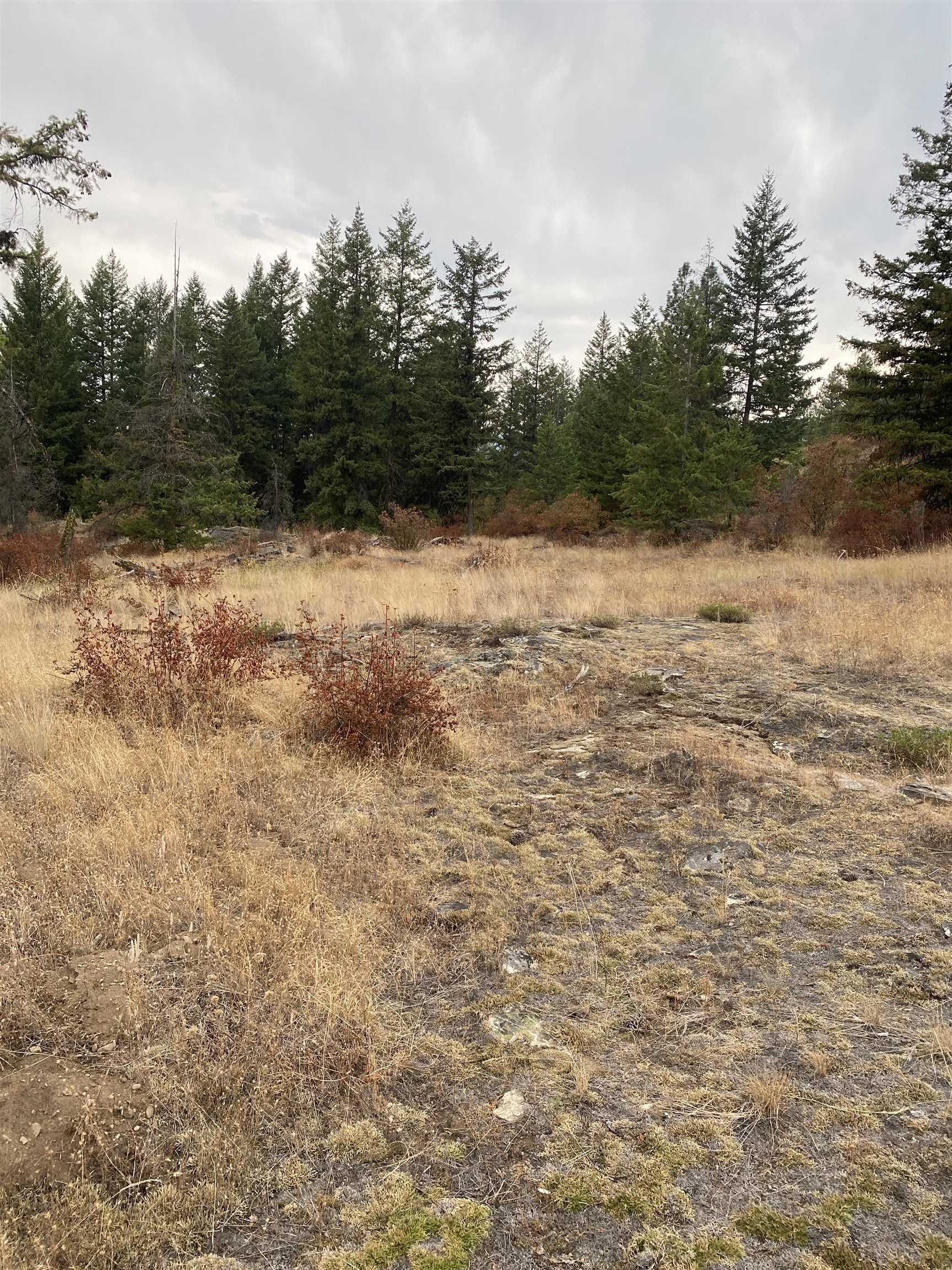 34 Peace Ridge Way - Photo 23