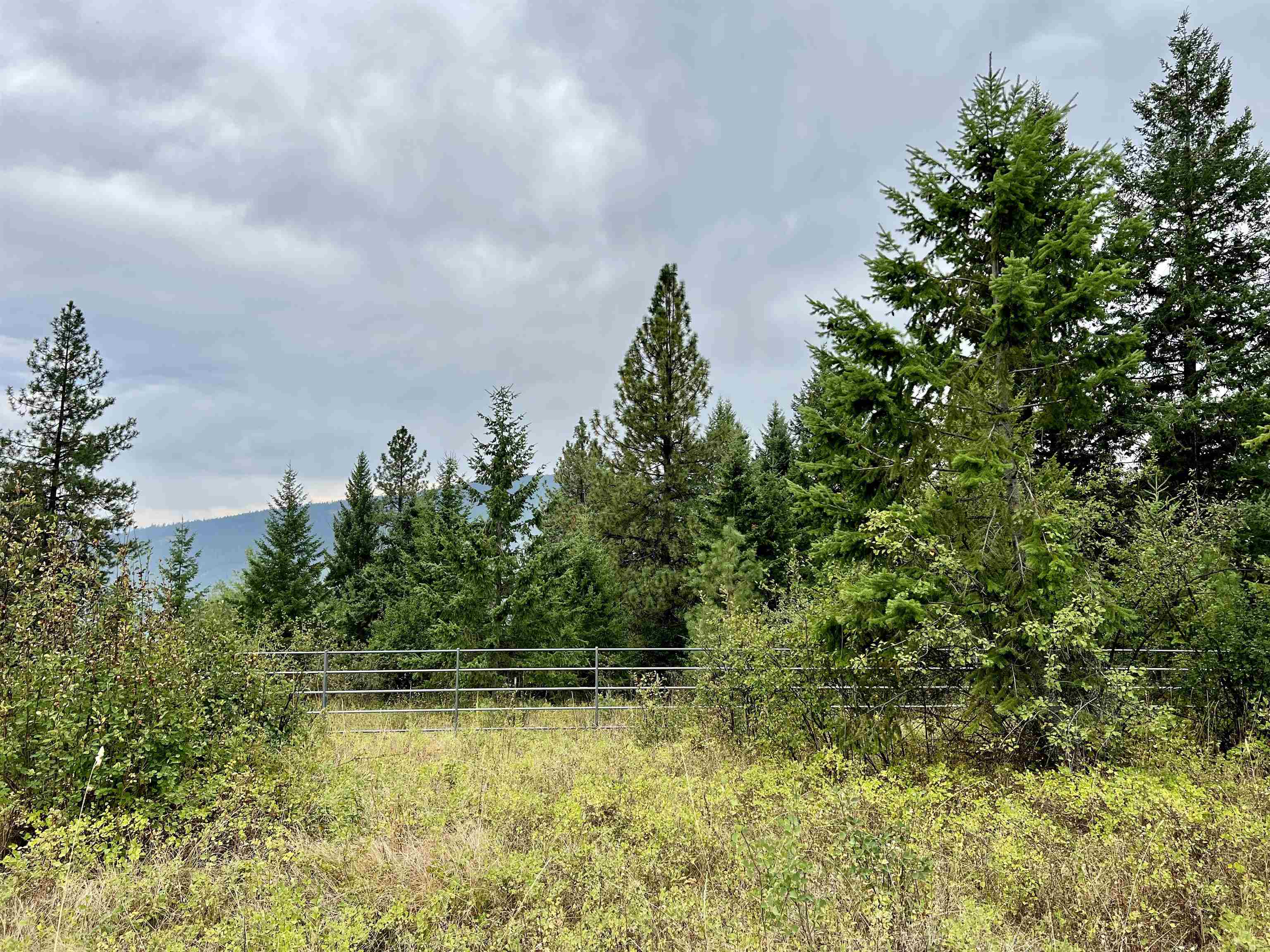 34 Peace Ridge Way - Photo 4
