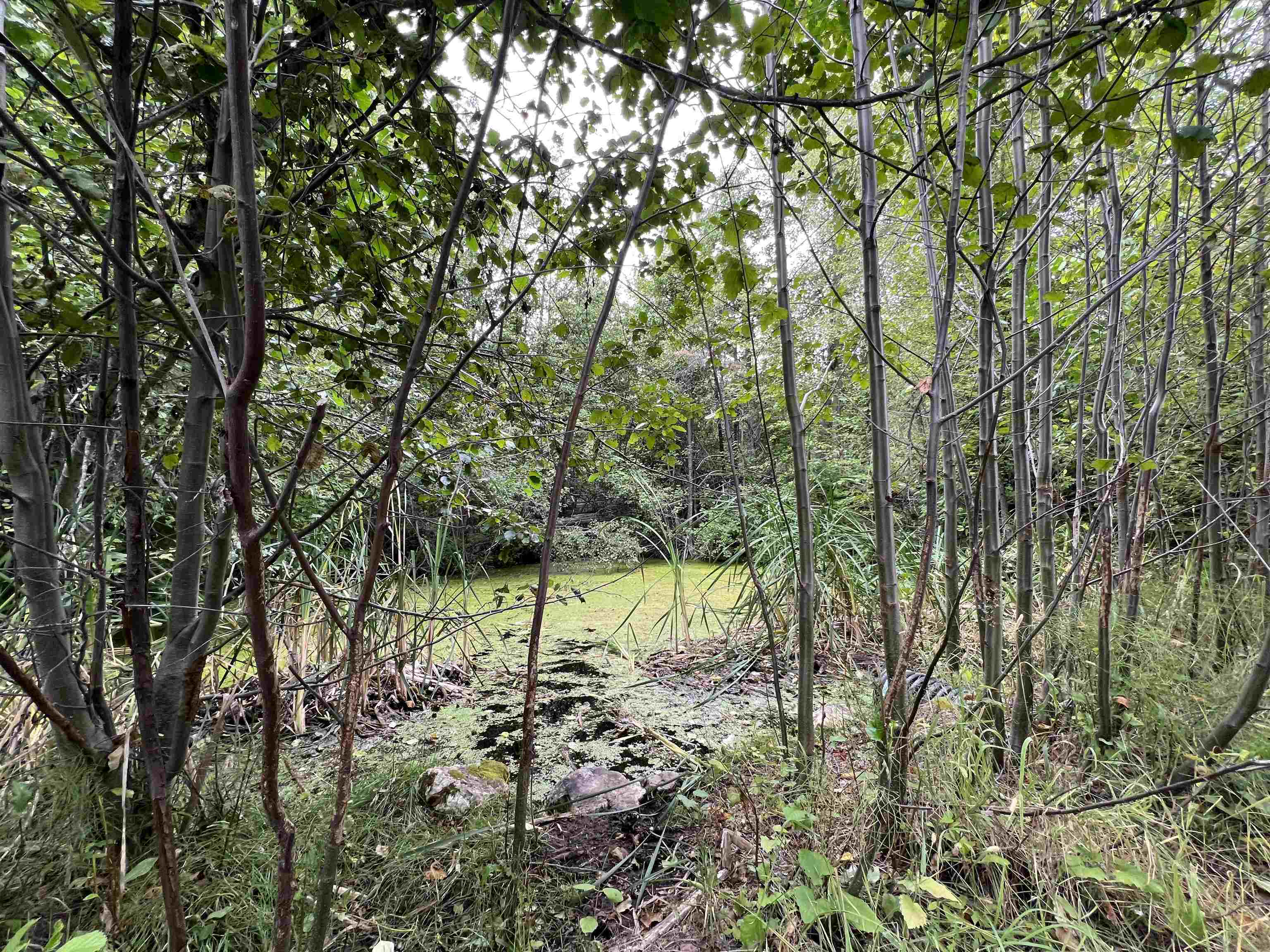 34 Peace Ridge Way - Photo 5