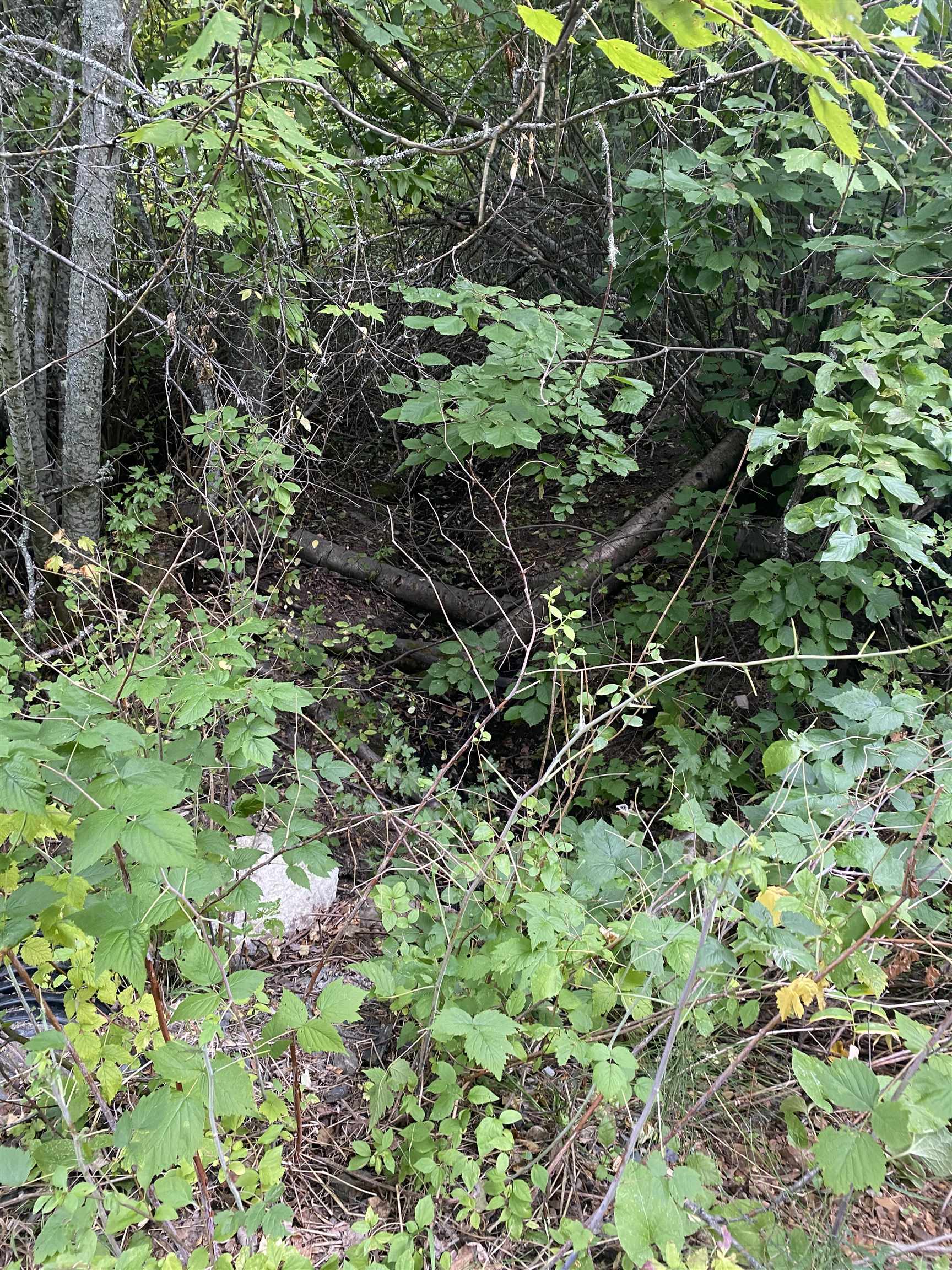 34 Peace Ridge Way - Photo 6