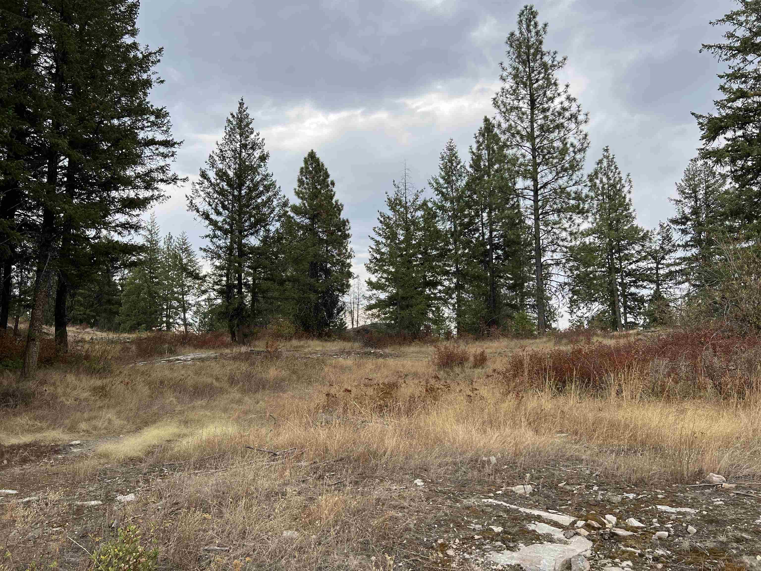 34 Peace Ridge Way - Photo 9