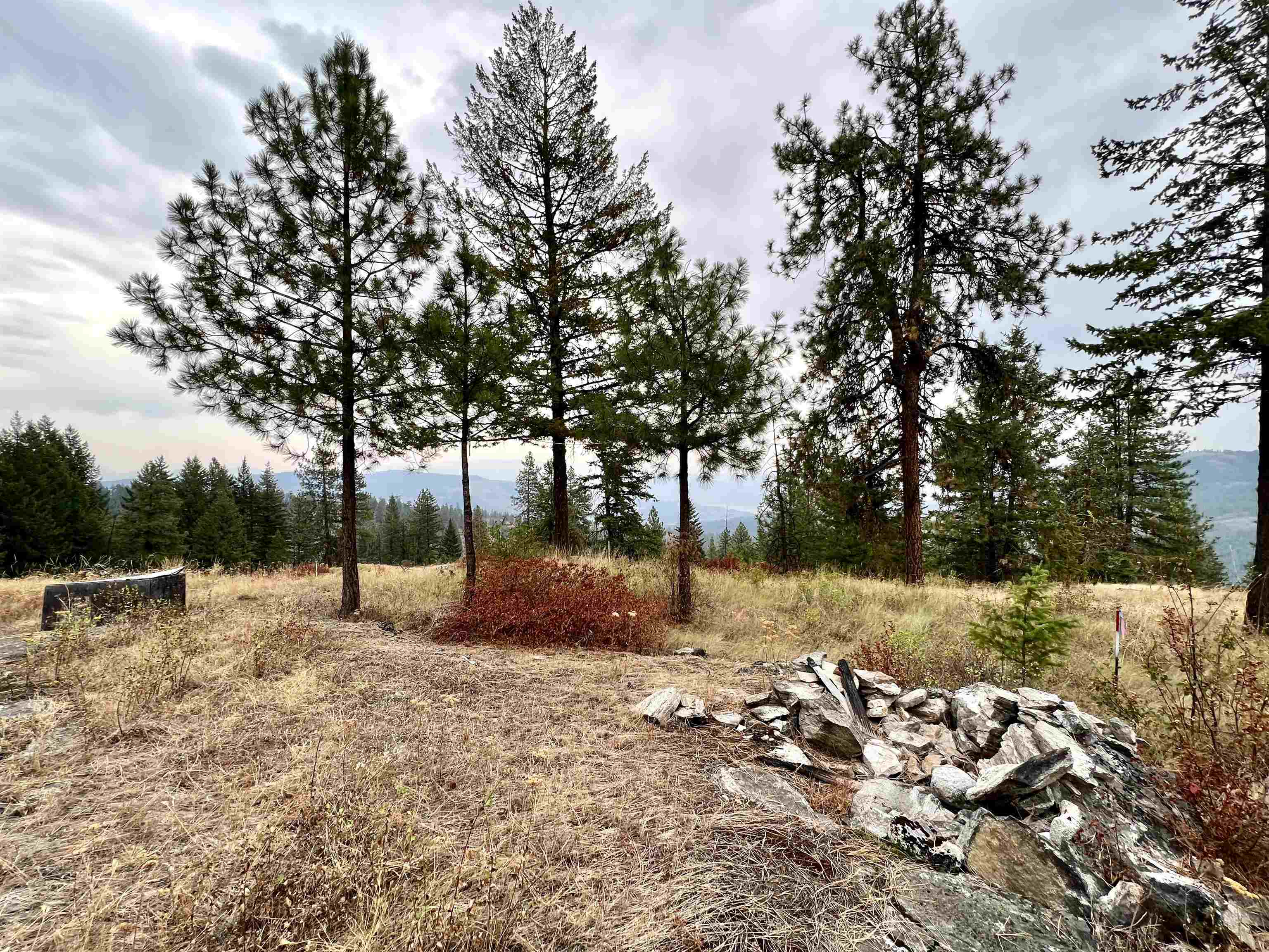 34 Peace Ridge Way - Photo 10
