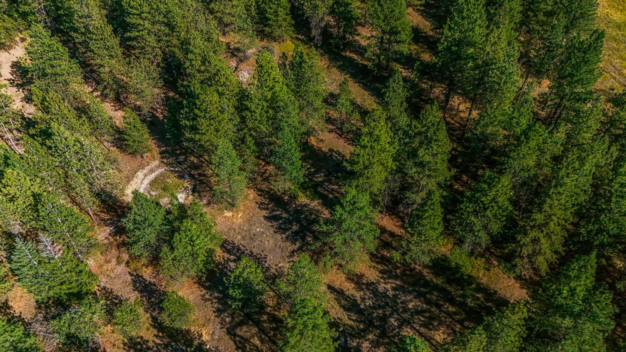 5522 E Bigelow Gulch Rd - Photo 23