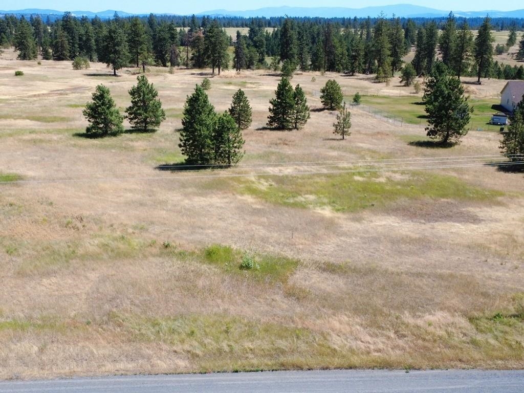 00X Hayford Rd - Photo 11