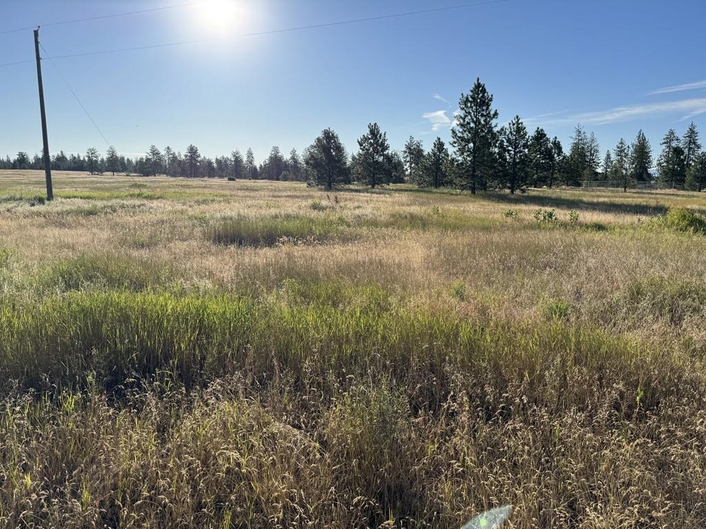 00X Hayford Rd - Photo 12