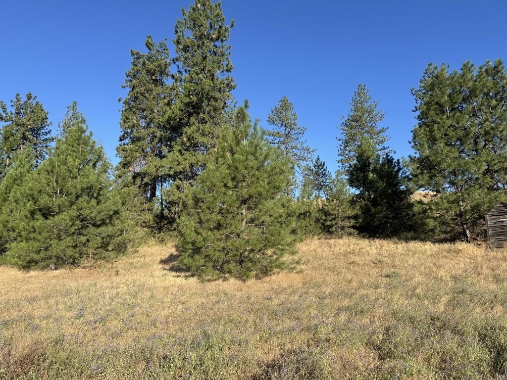 00X Hayford Rd - Photo 14