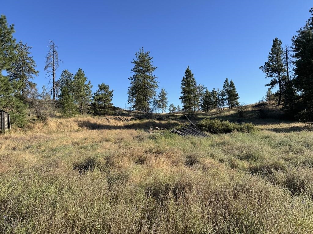 00X Hayford Rd - Photo 15