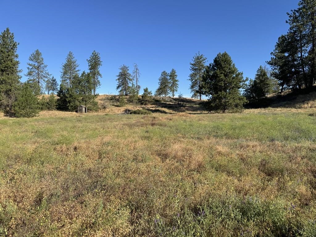 00X Hayford Rd - Photo 16