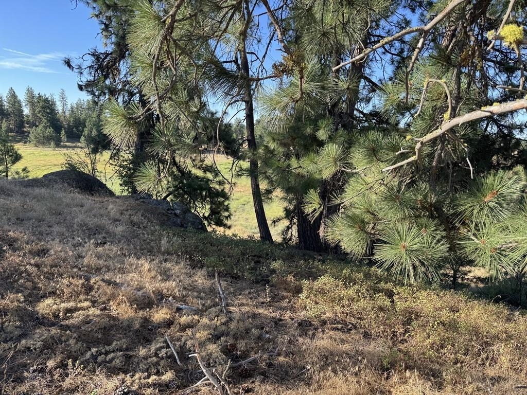 00X Hayford Rd - Photo 17