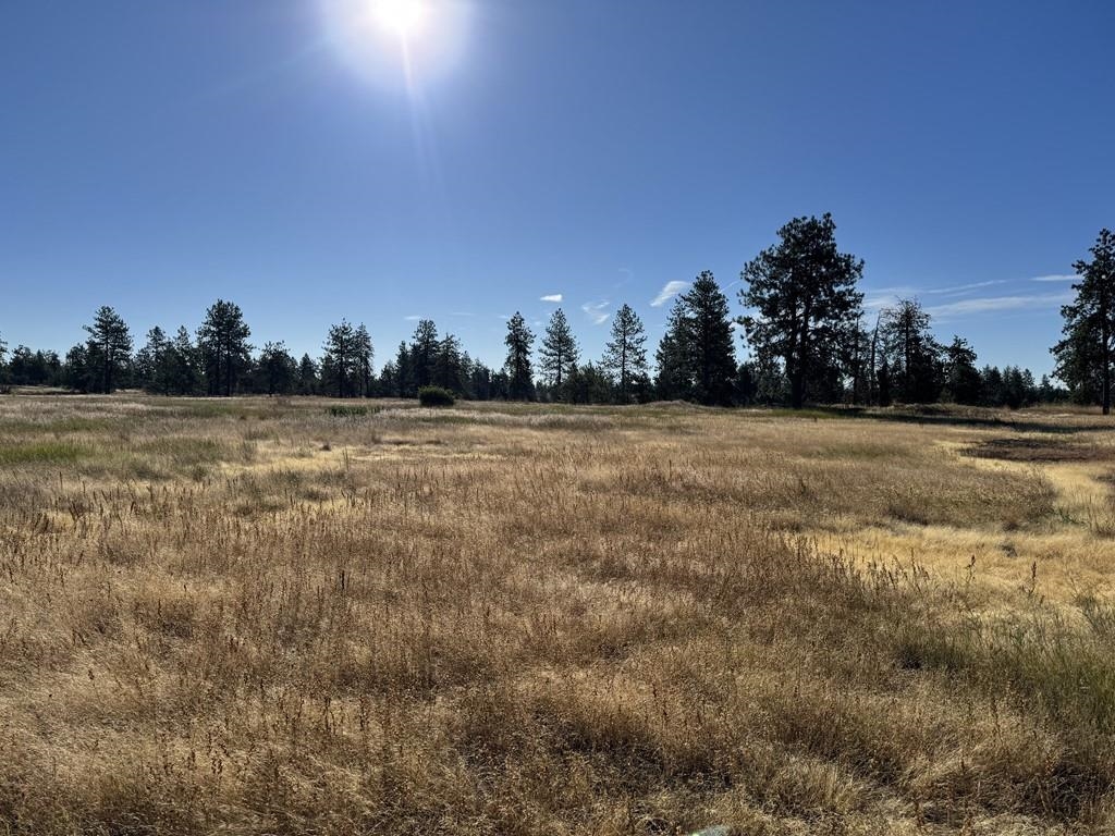 00X Hayford Rd - Photo 18