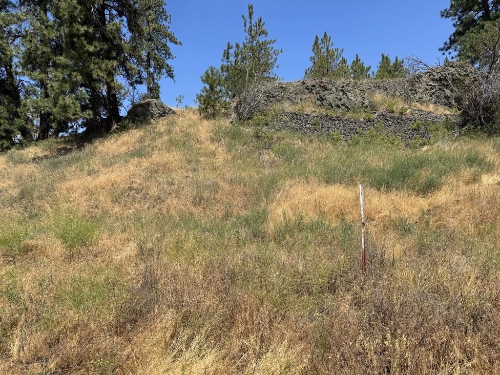 00X Hayford Rd - Photo 19