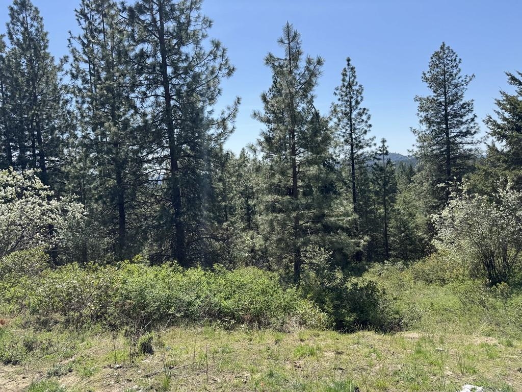 1372 Valley View Dr - Photo 3