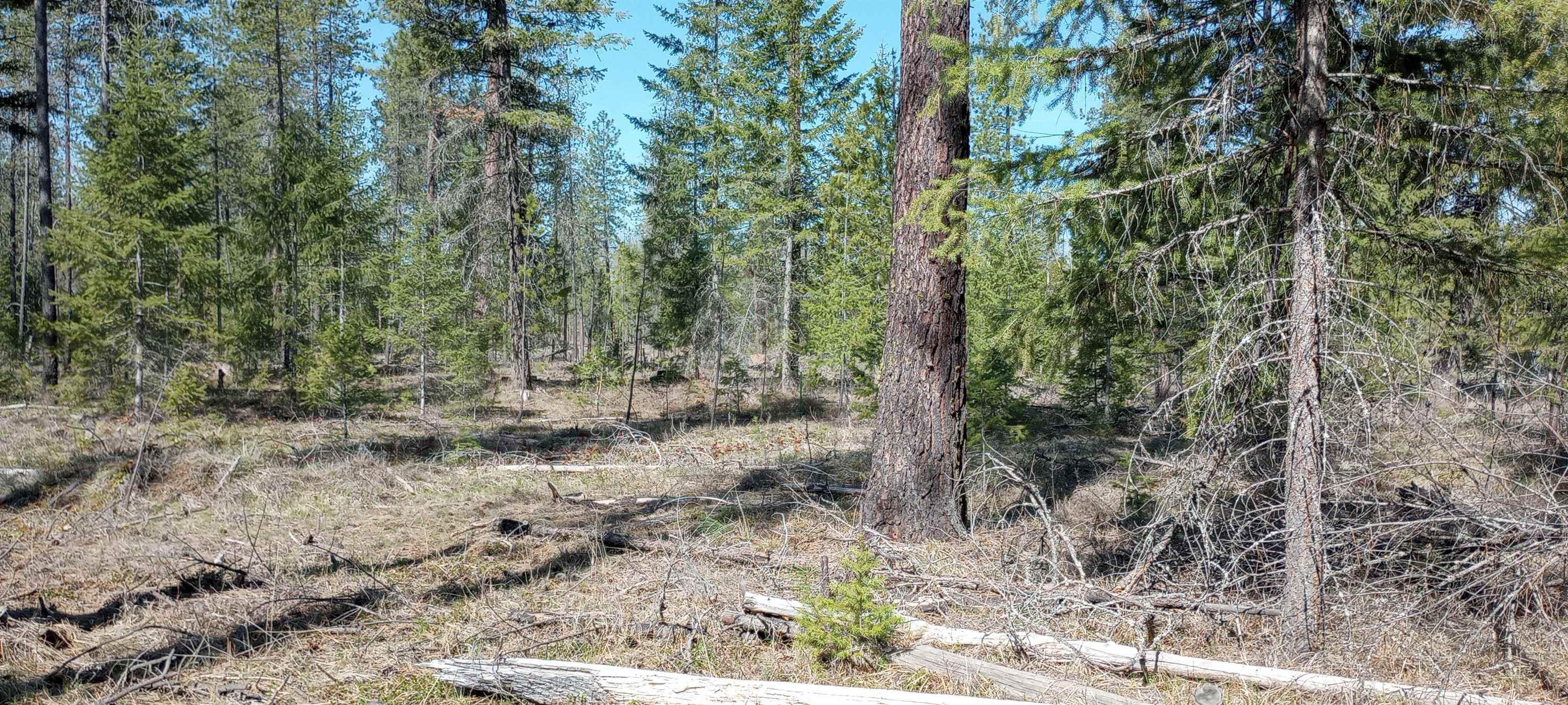 151XX E Oregon Rd - Photo 6