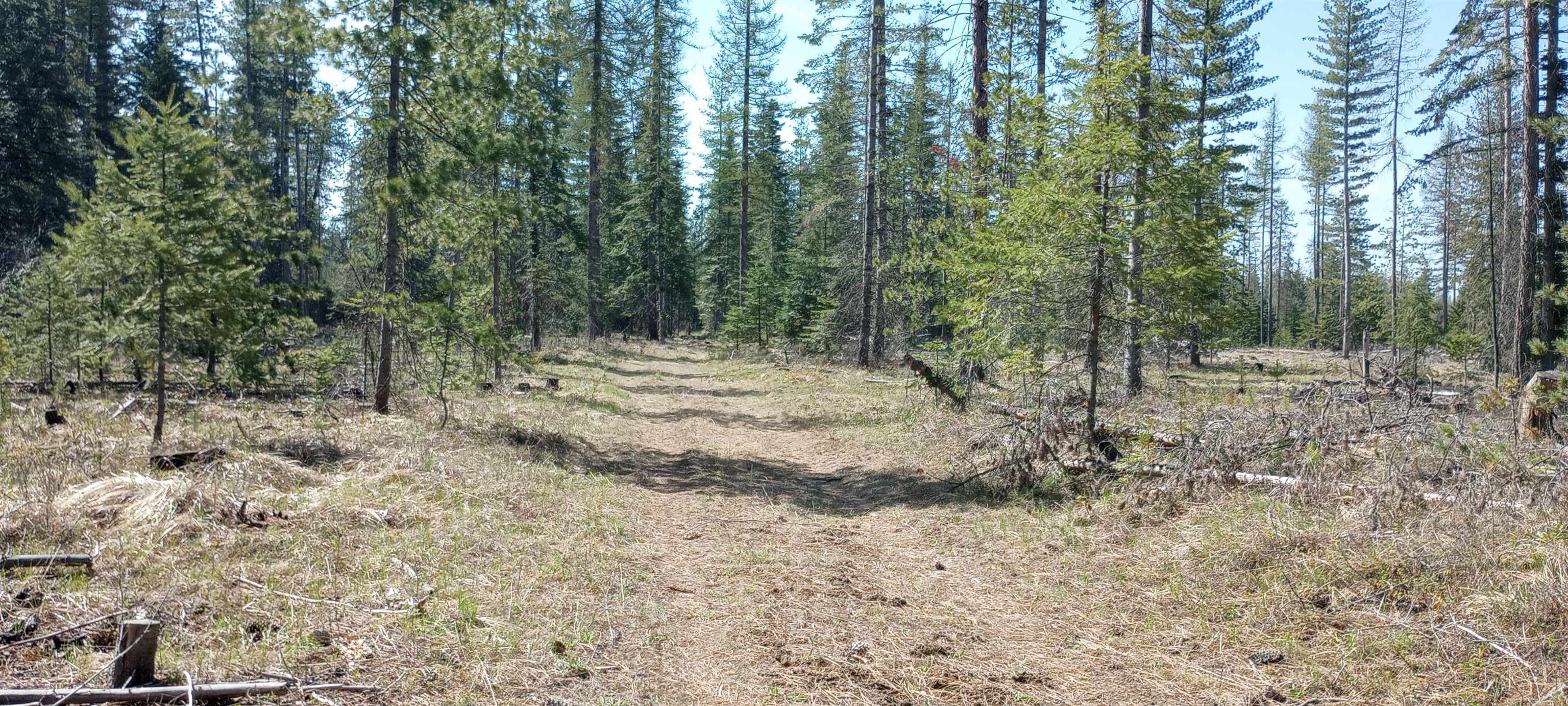 151XX E Oregon Rd - Photo 8