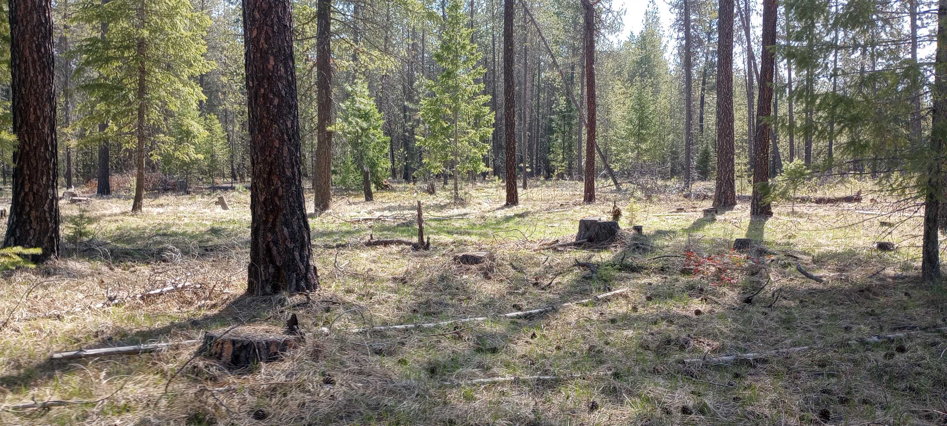 151XX E Oregon Rd - Photo 8