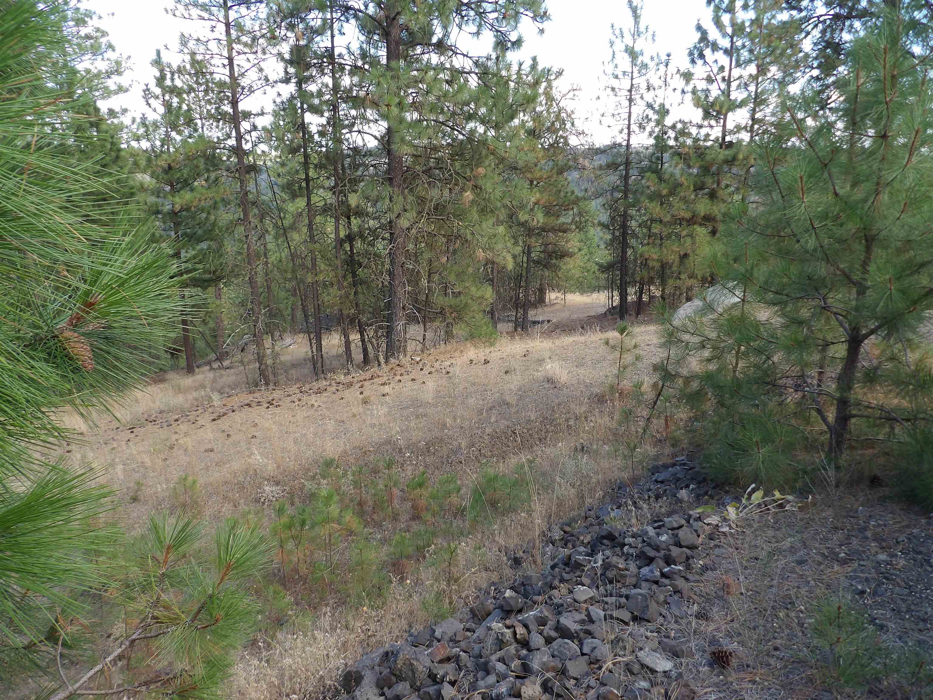 31905 E Ruffed Grouse Dr - Photo 1