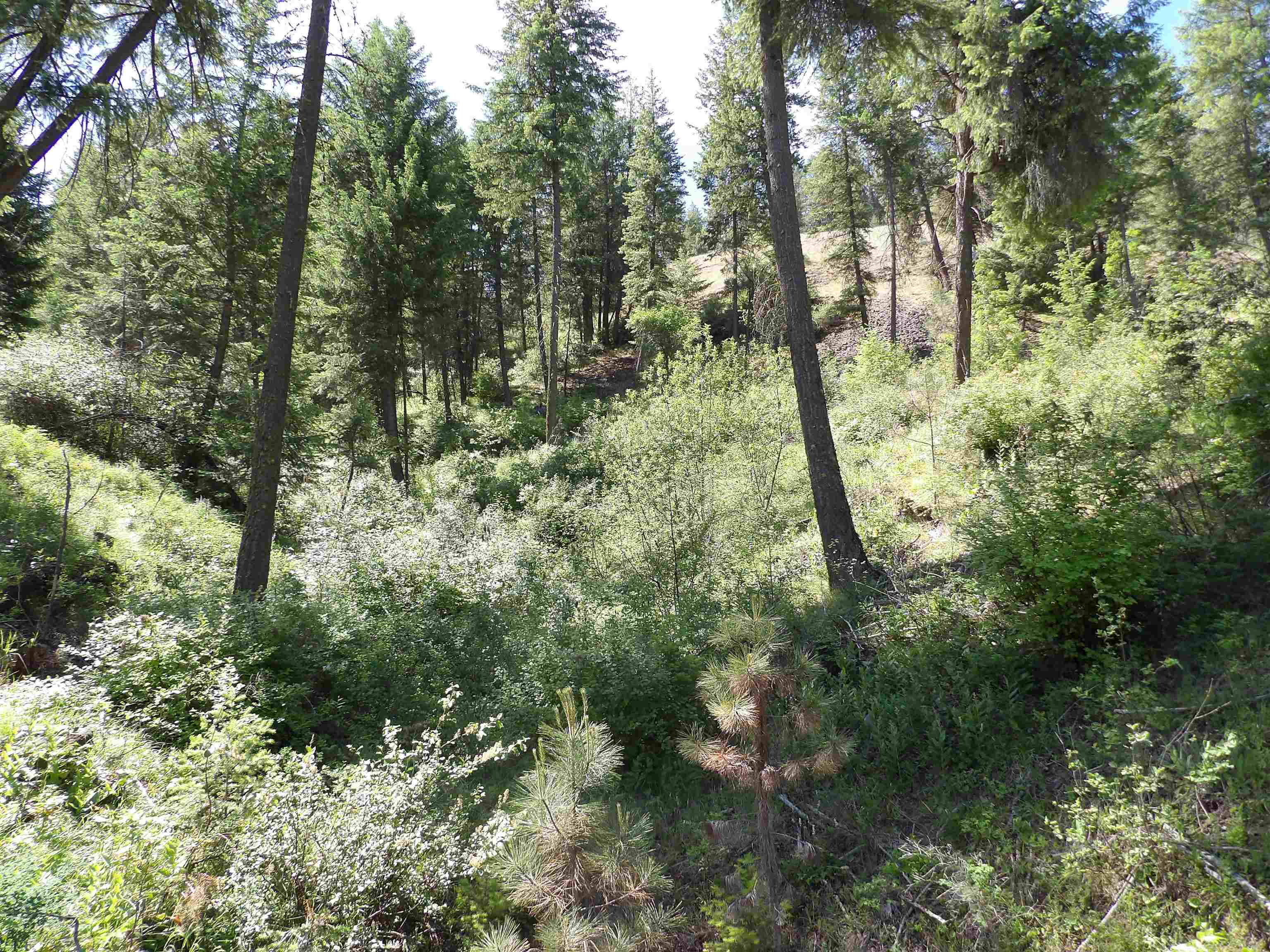 31905 E Ruffed Grouse Dr - Photo 12