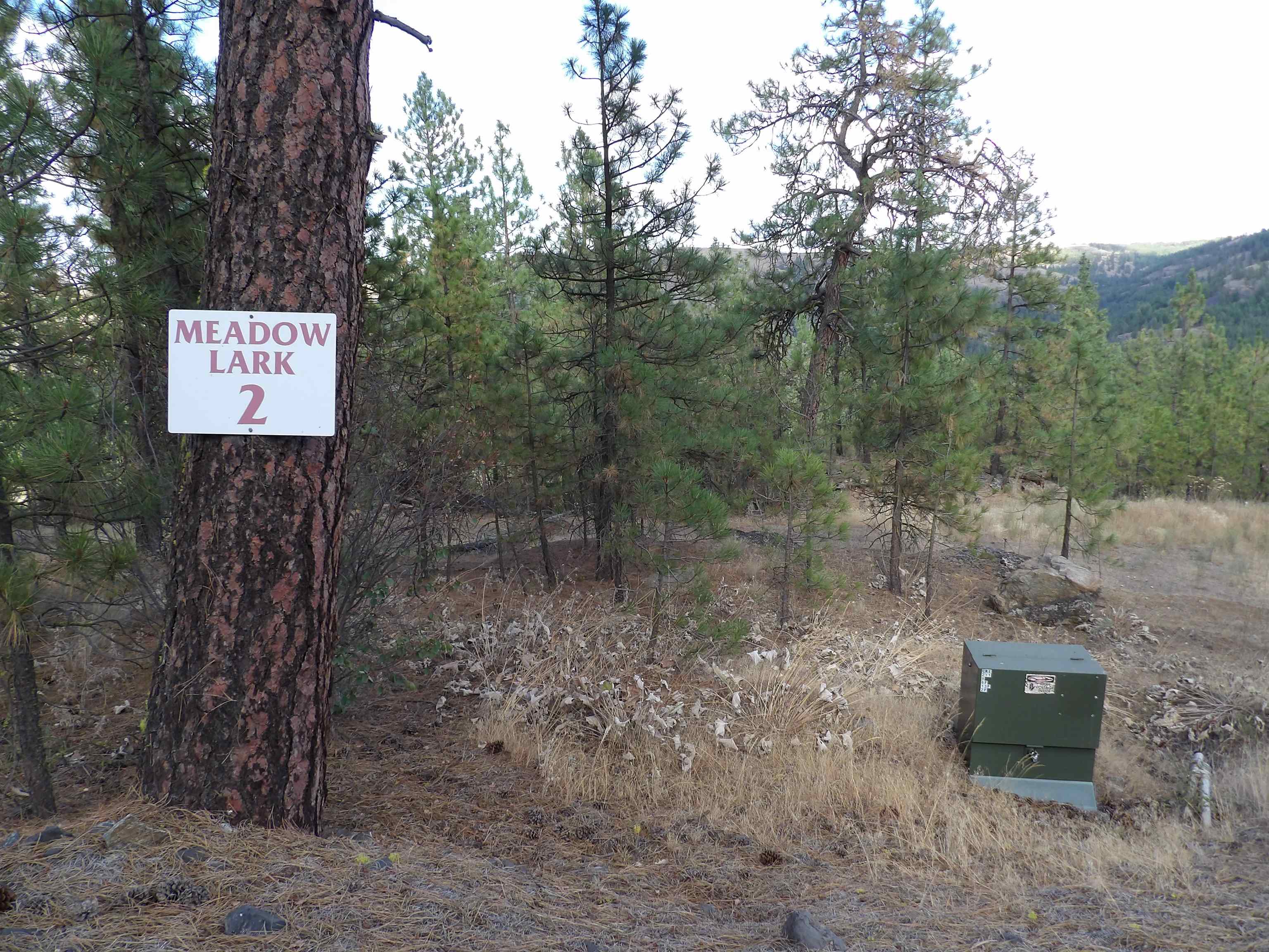 31905 E Ruffed Grouse Dr - Photo 13