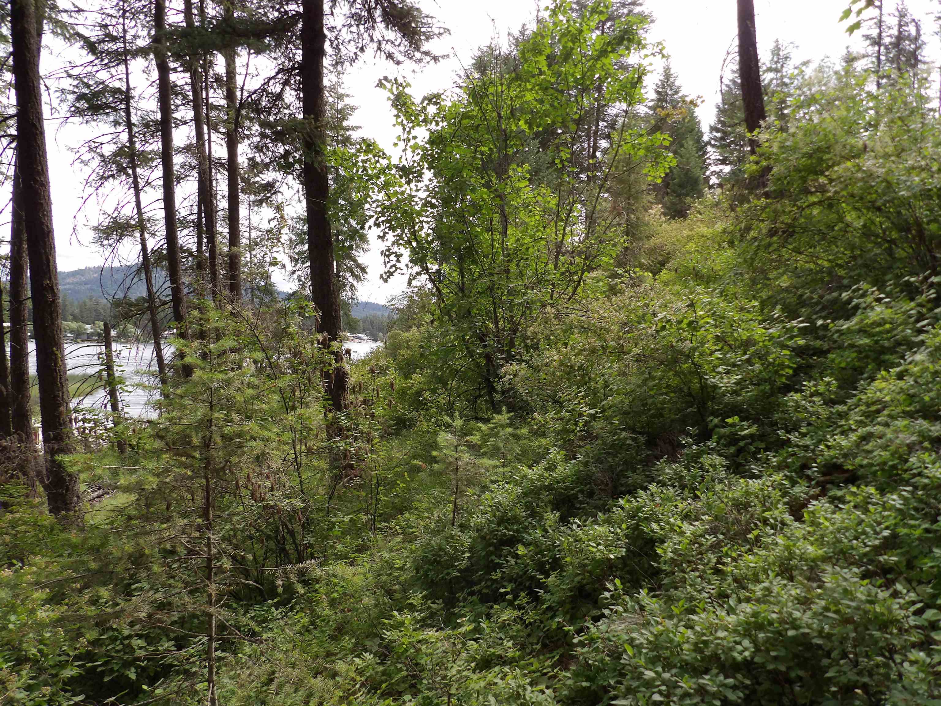 31905 E Ruffed Grouse Dr - Photo 14