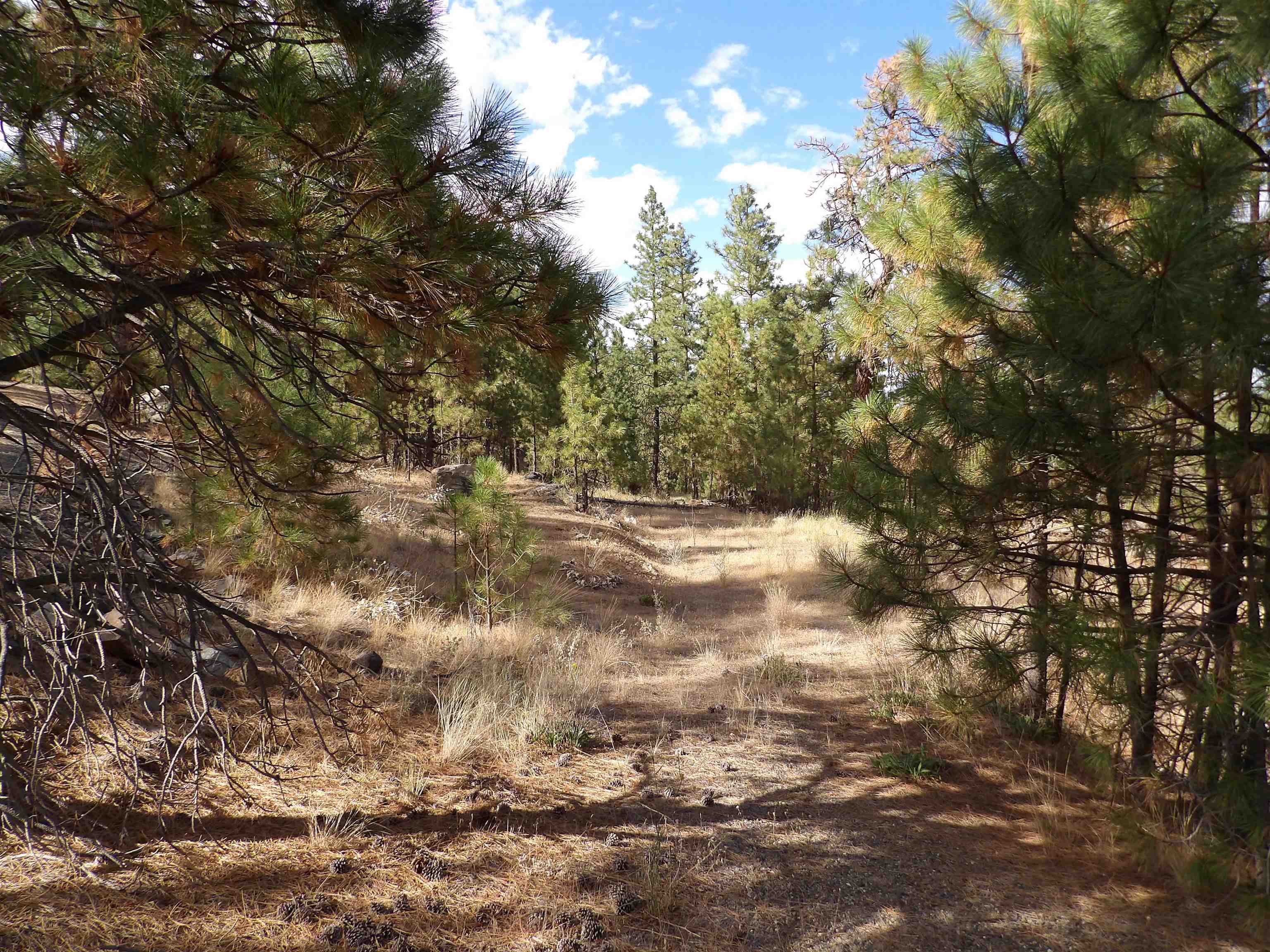 31905 E Ruffed Grouse Dr - Photo 10