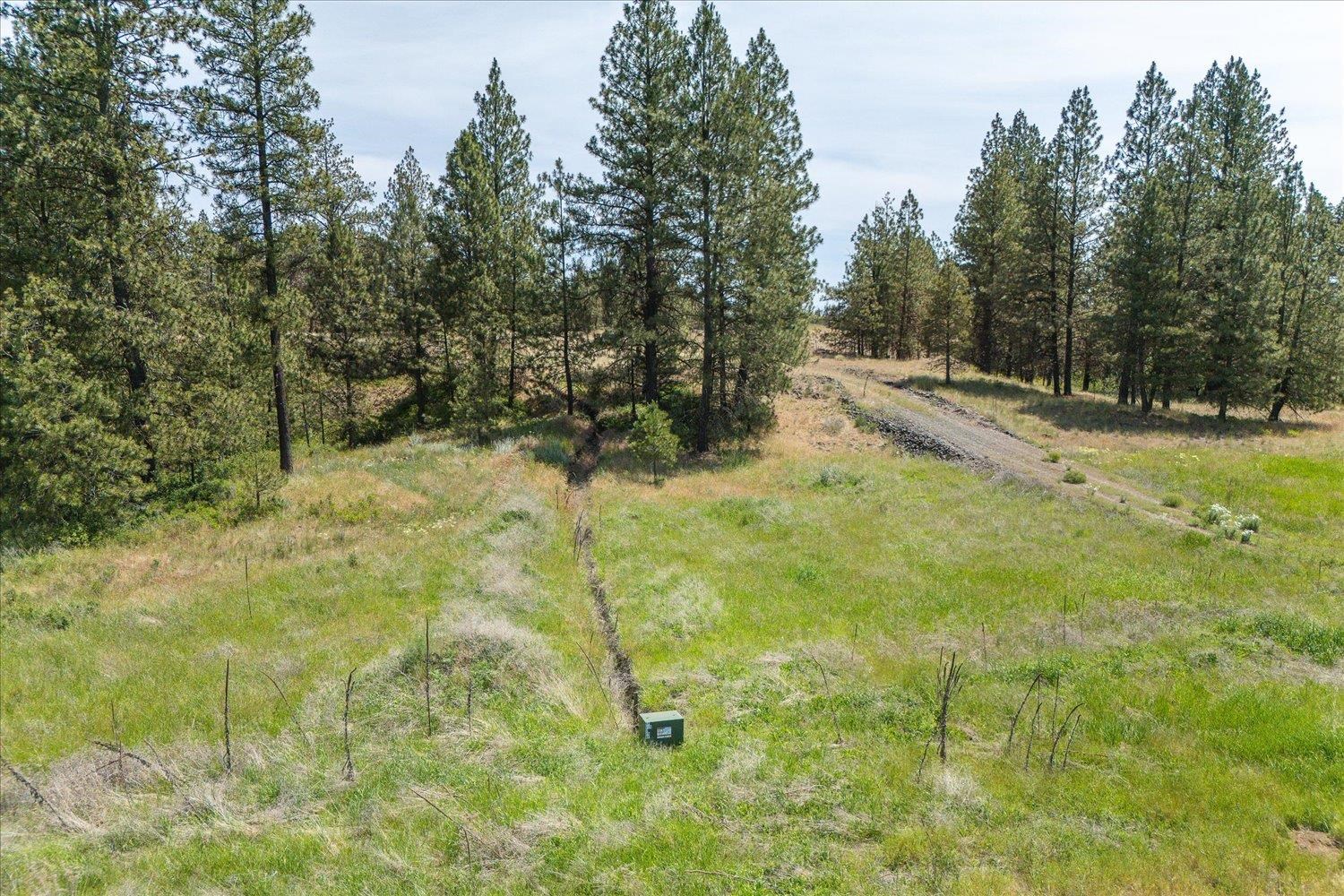 36000 S Bootstrap Ln - Photo 4