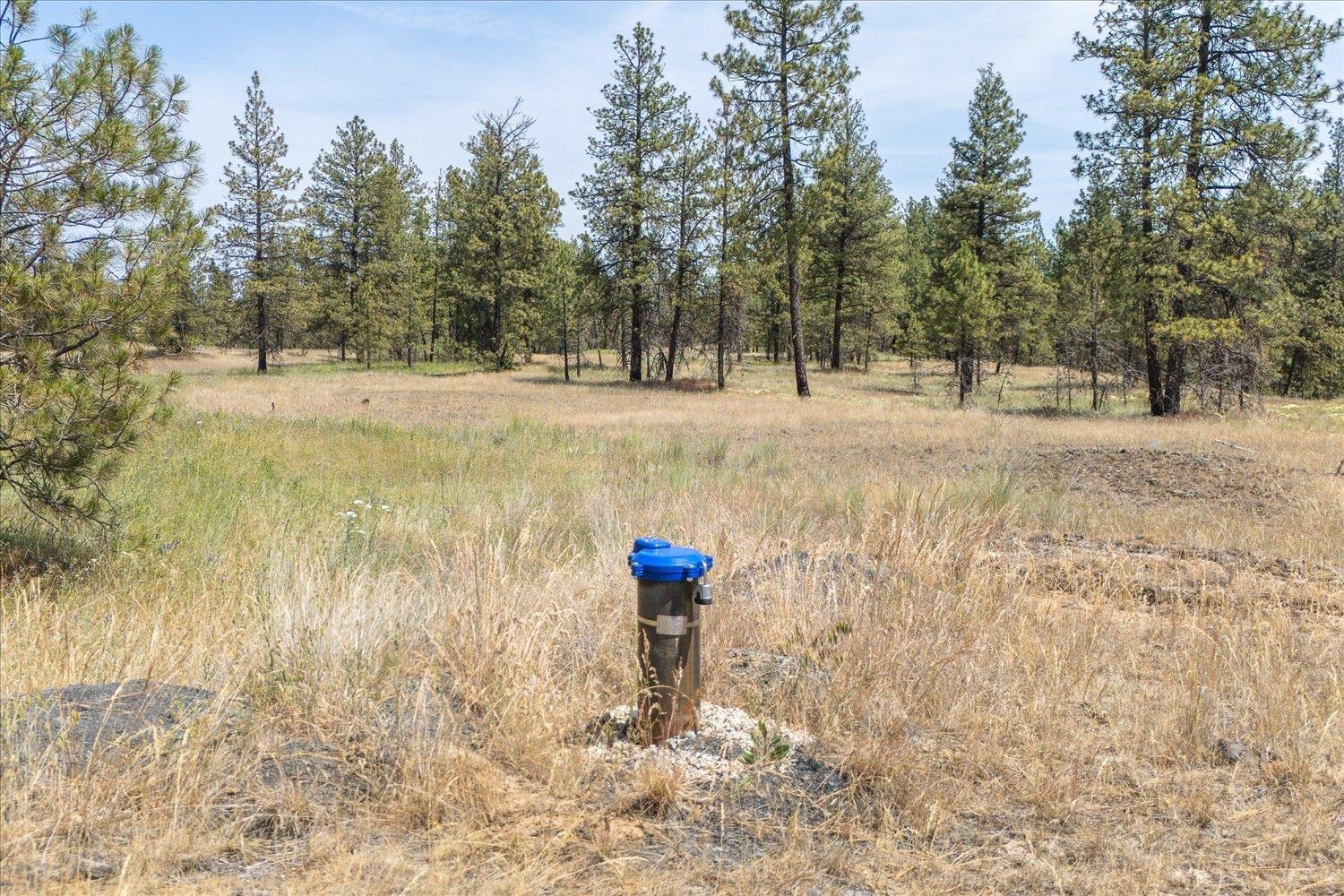 36000 S Bootstrap Ln - Photo 5