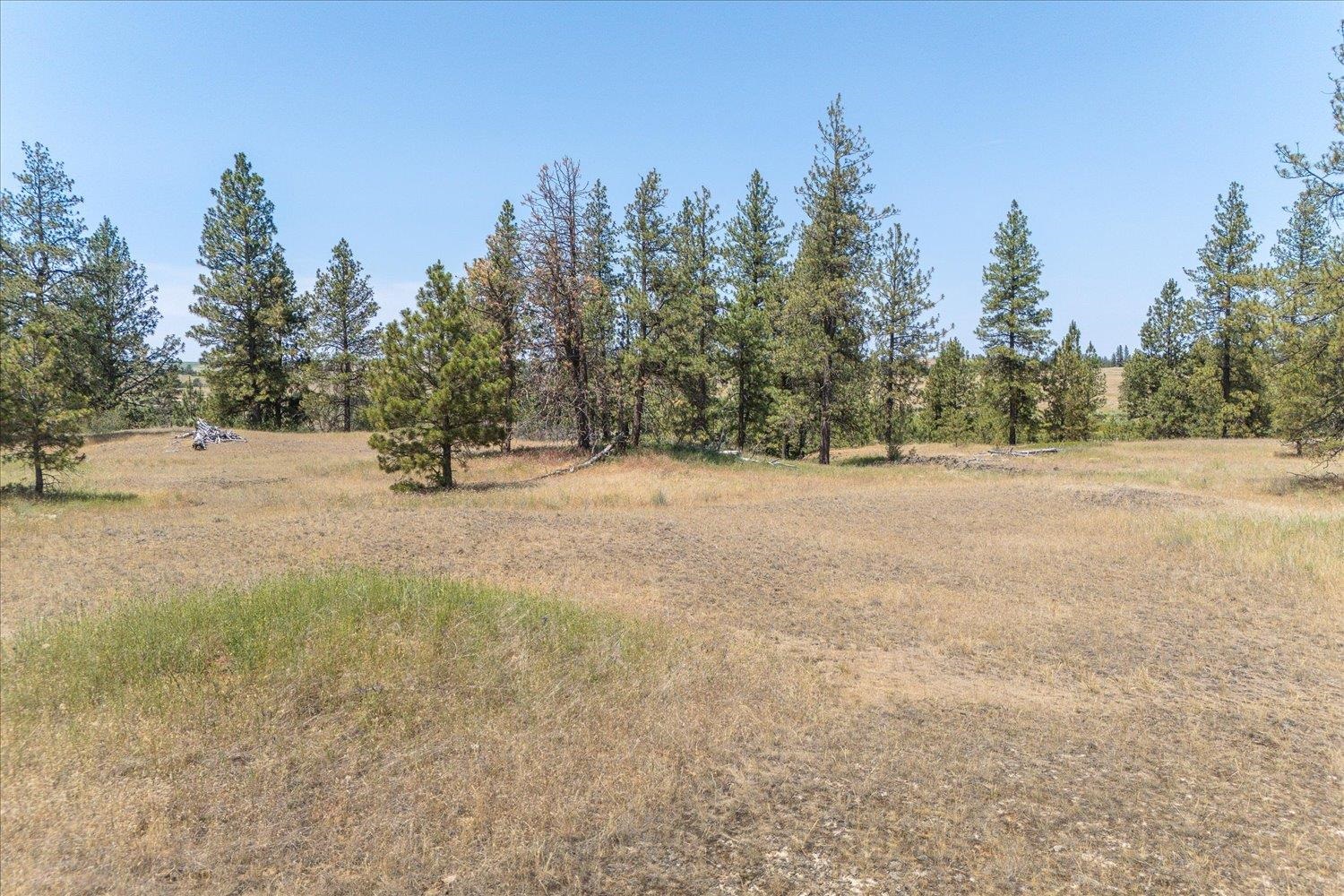 36000 S Bootstrap Ln - Photo 6
