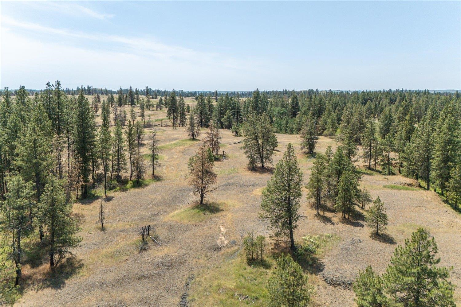 36000 S Bootstrap Ln - Photo 7