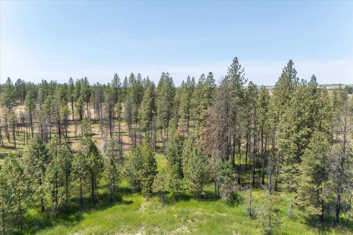 36000 S Bootstrap Ln - Photo 8