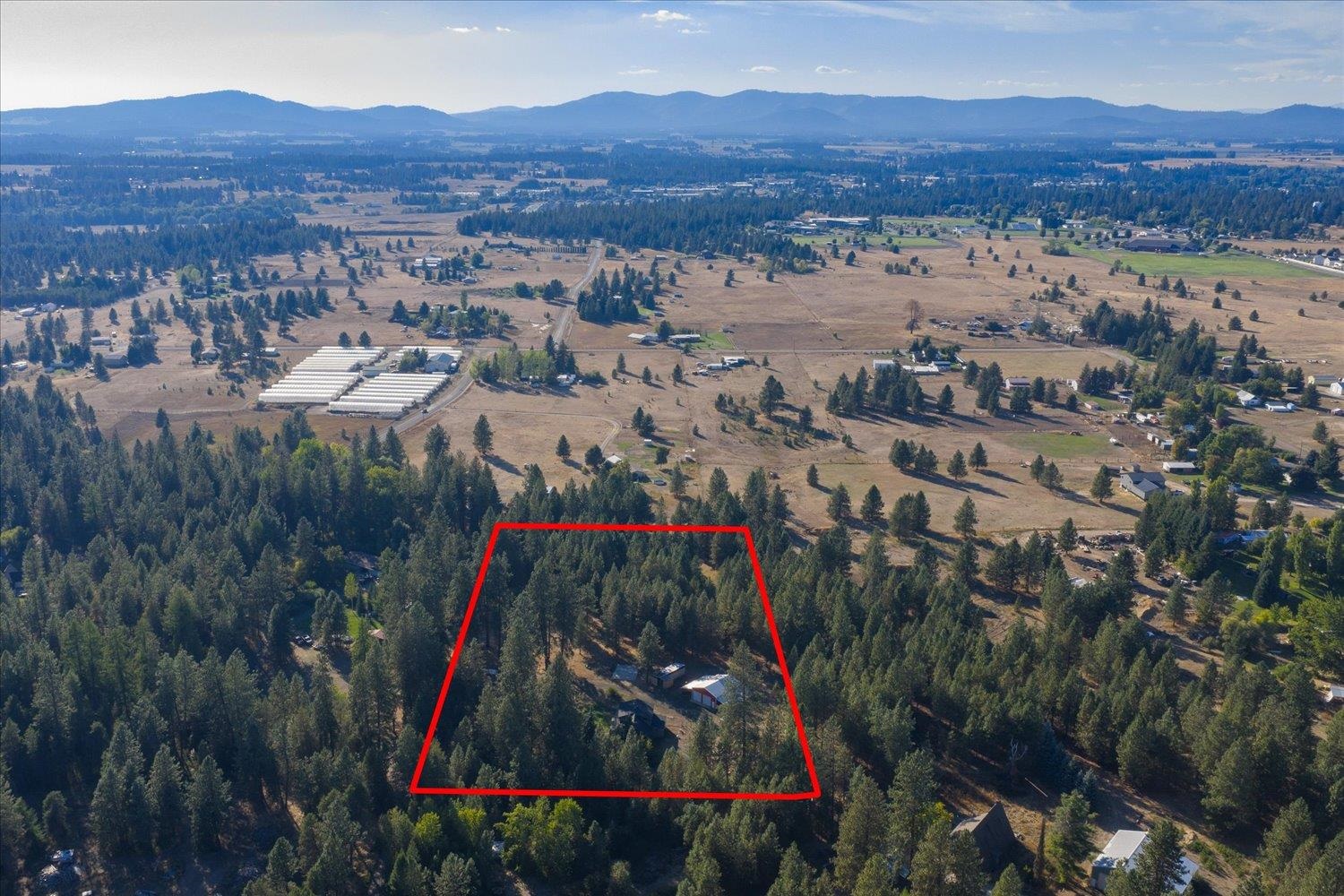 31515 N Cedar Rd - Photo 4