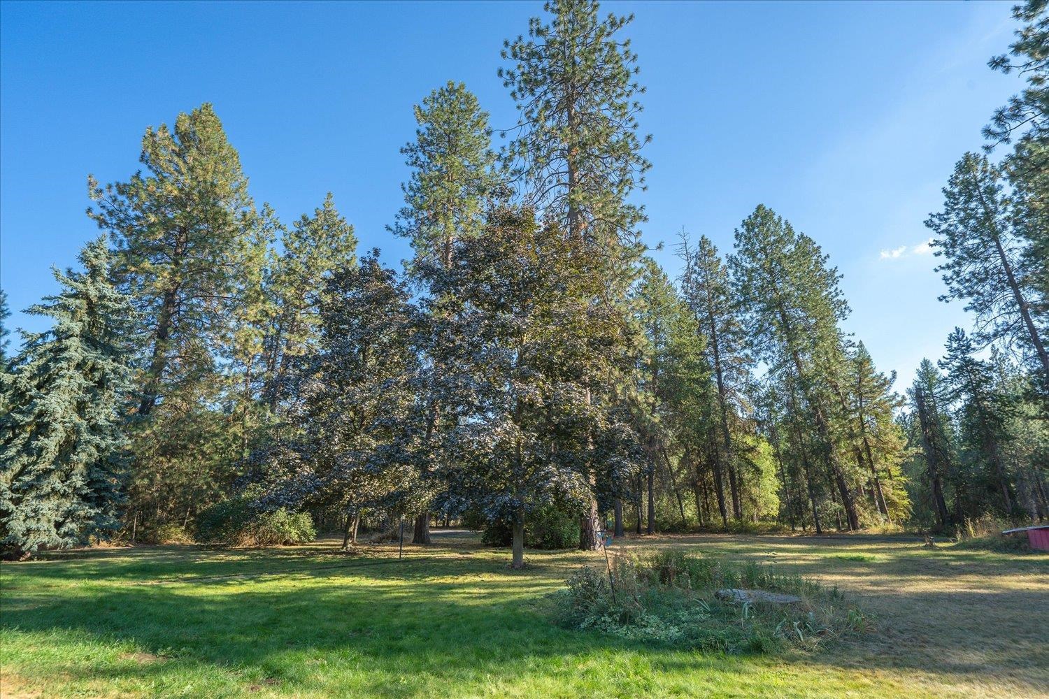 31515 N Cedar Rd - Photo 39