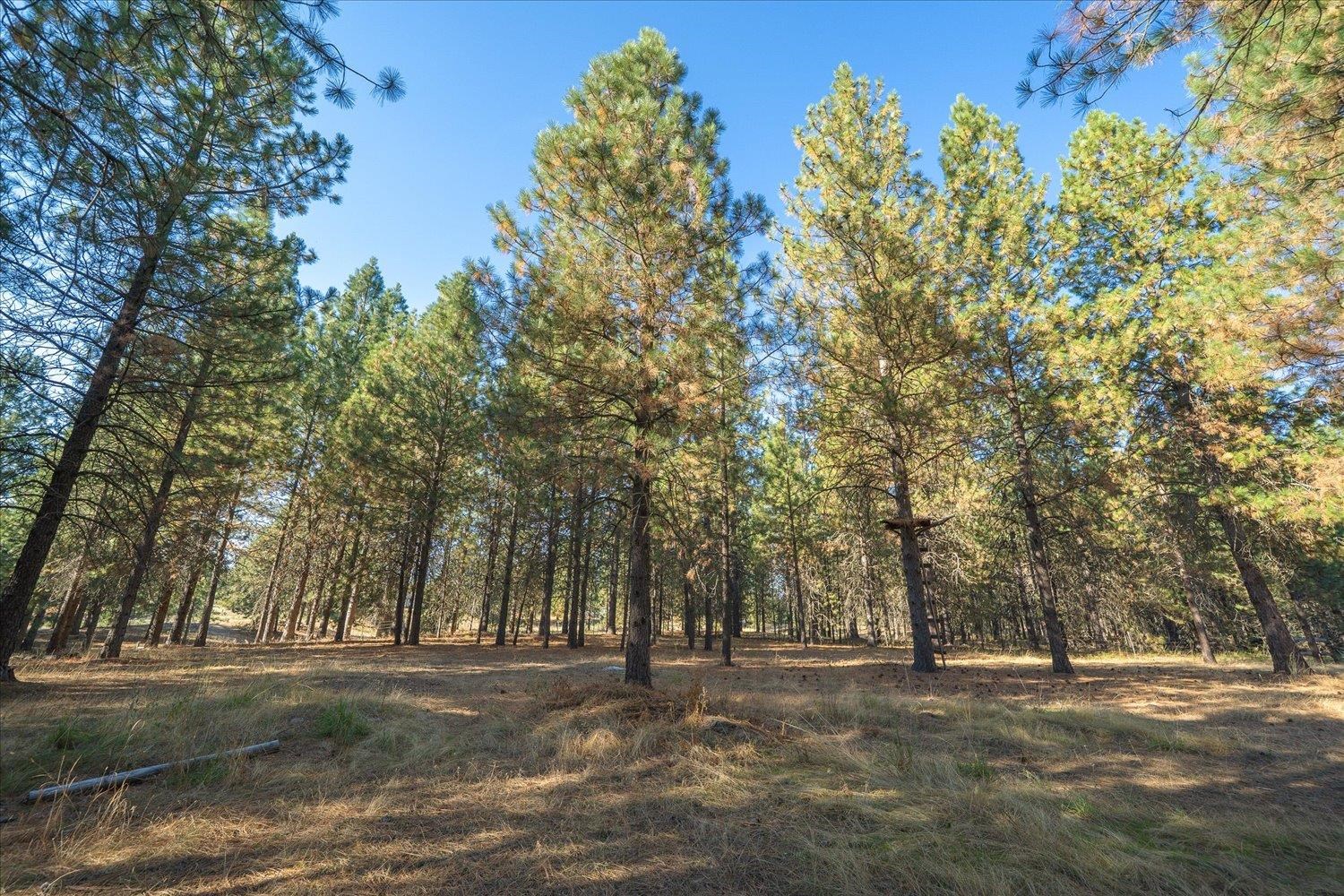 31515 N Cedar Rd - Photo 45