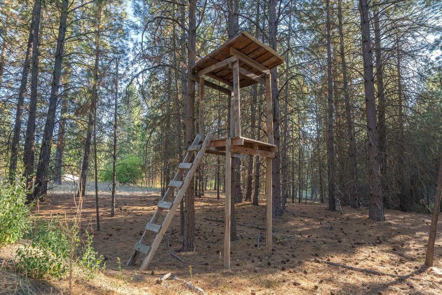 31515 N Cedar Rd - Photo 47