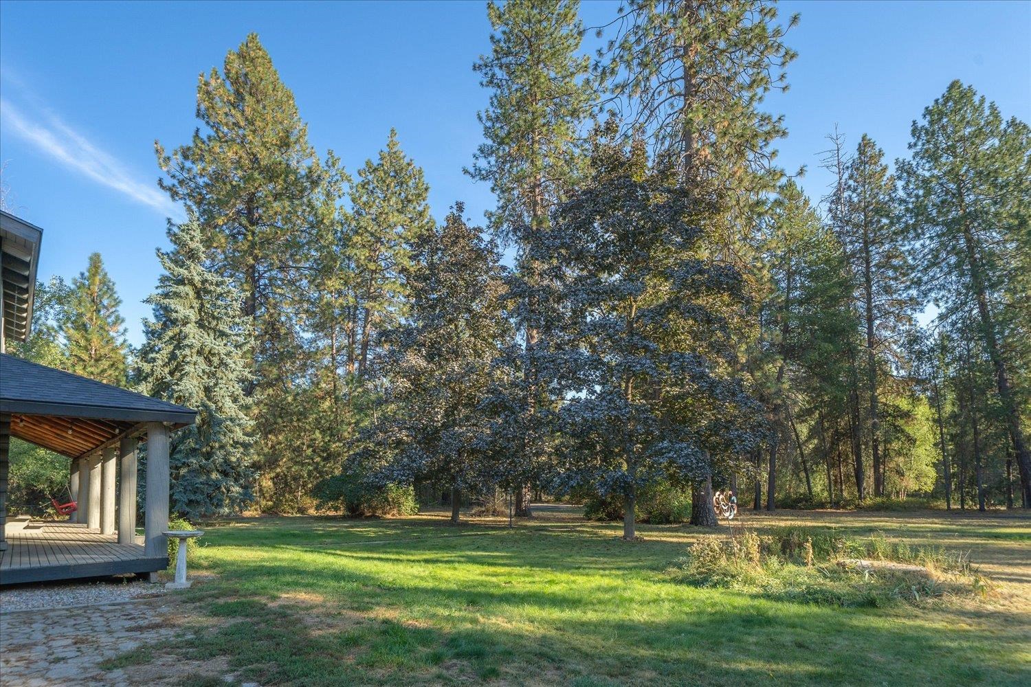 31515 N Cedar Rd - Photo 7