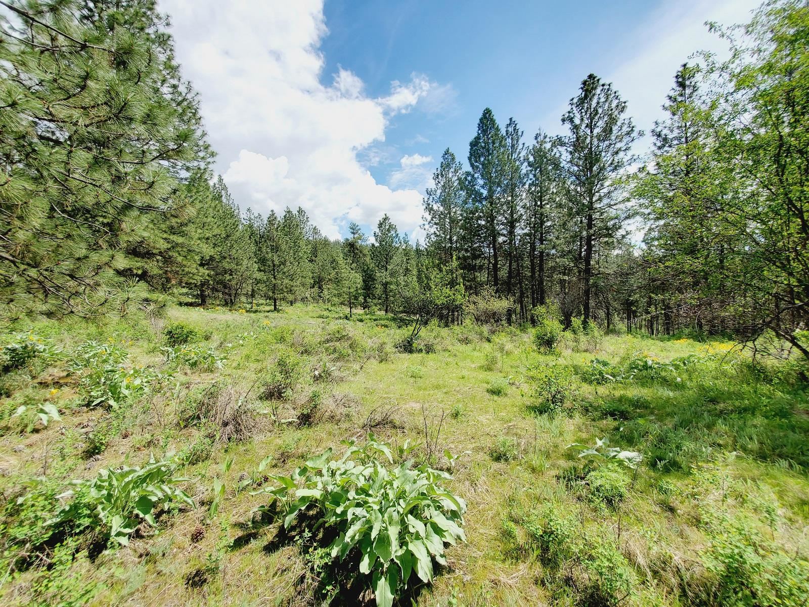 00 E Bigelow Gulch Rd - Photo 2
