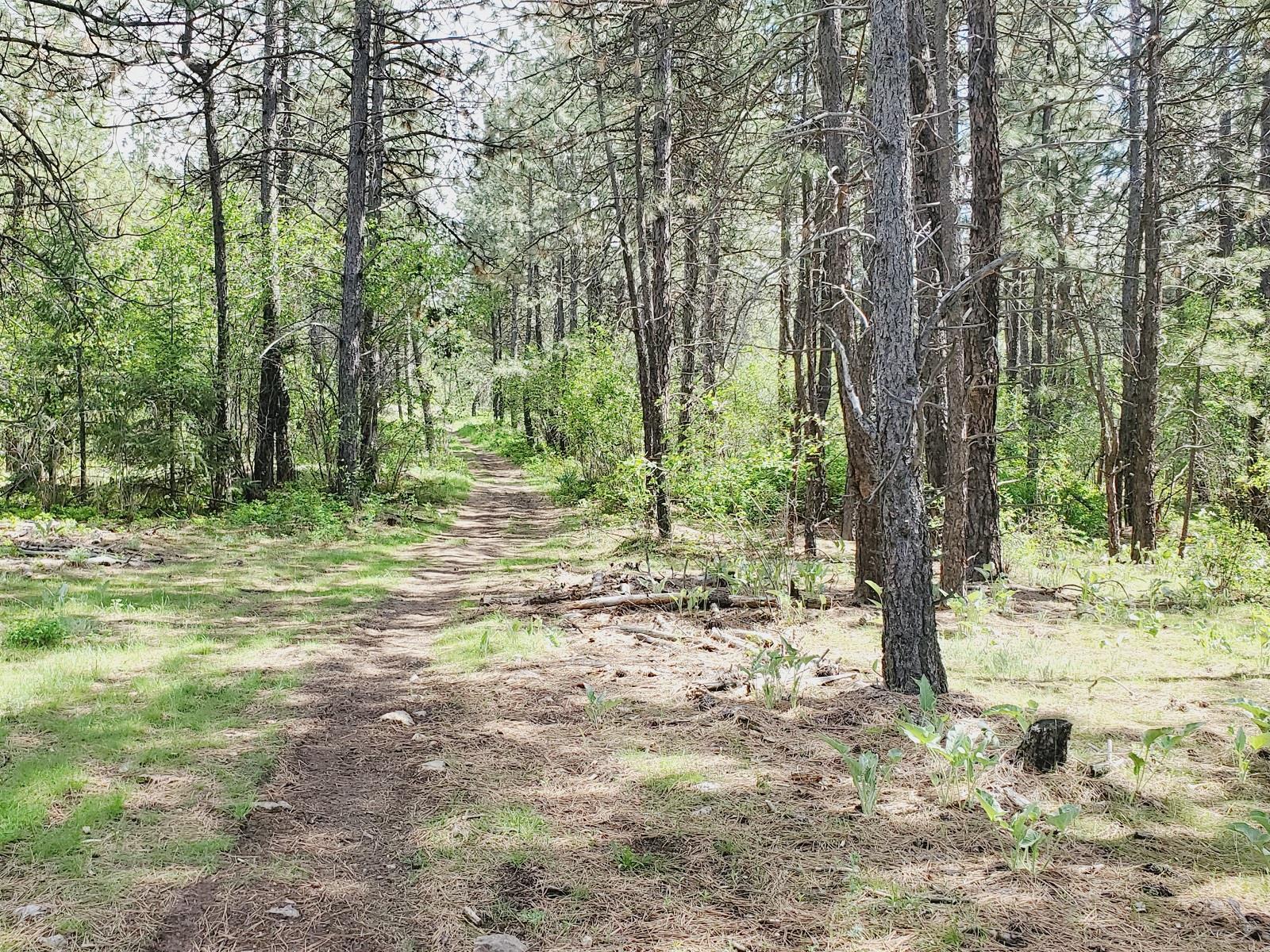 00 E Bigelow Gulch Rd - Photo 13