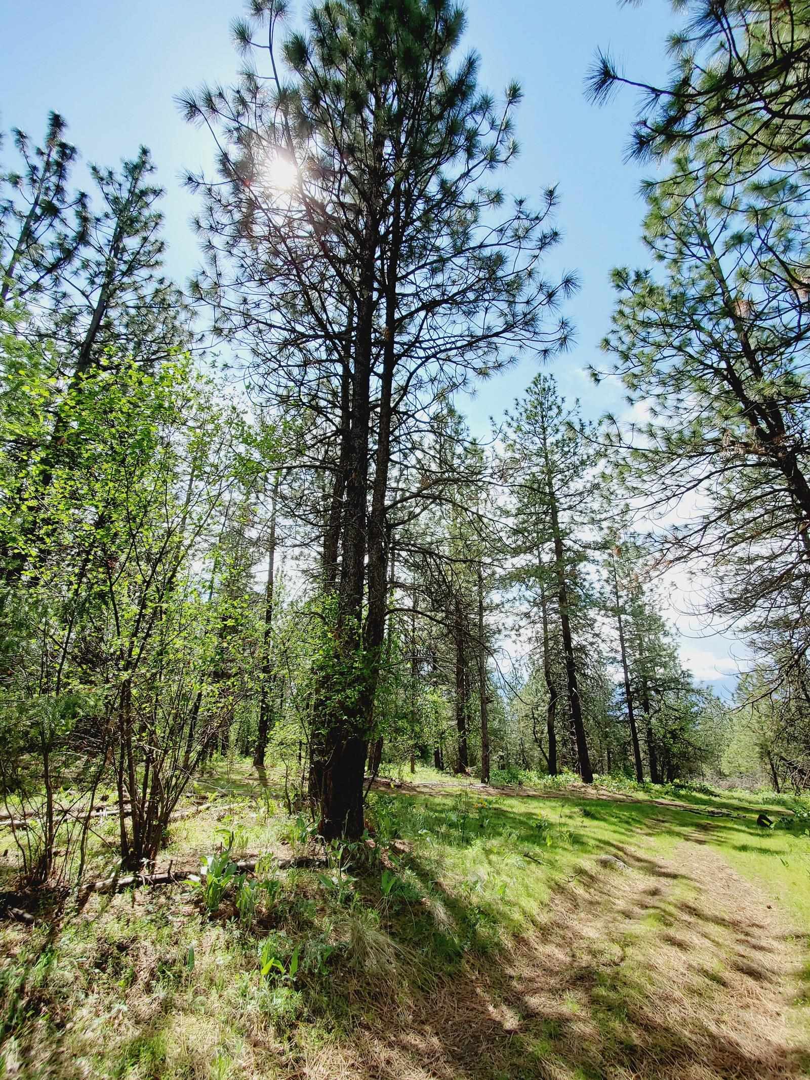 00 E Bigelow Gulch Rd - Photo 17