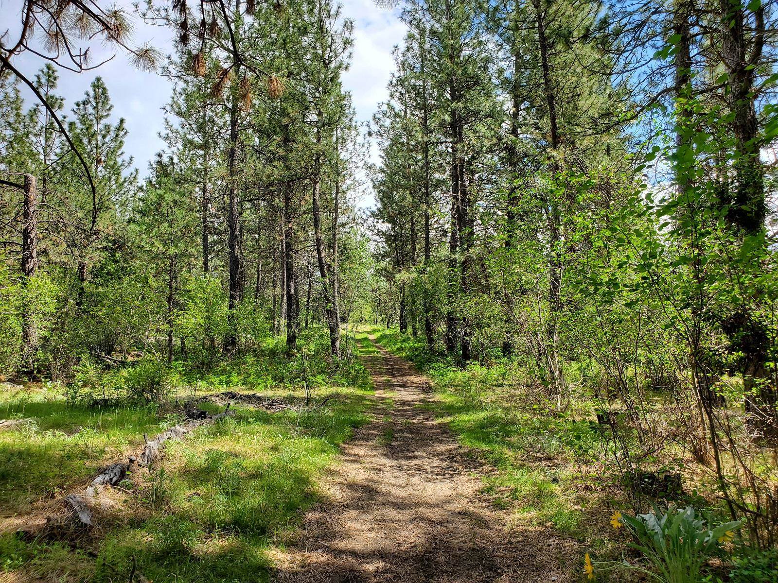 00 E Bigelow Gulch Rd - Photo 18